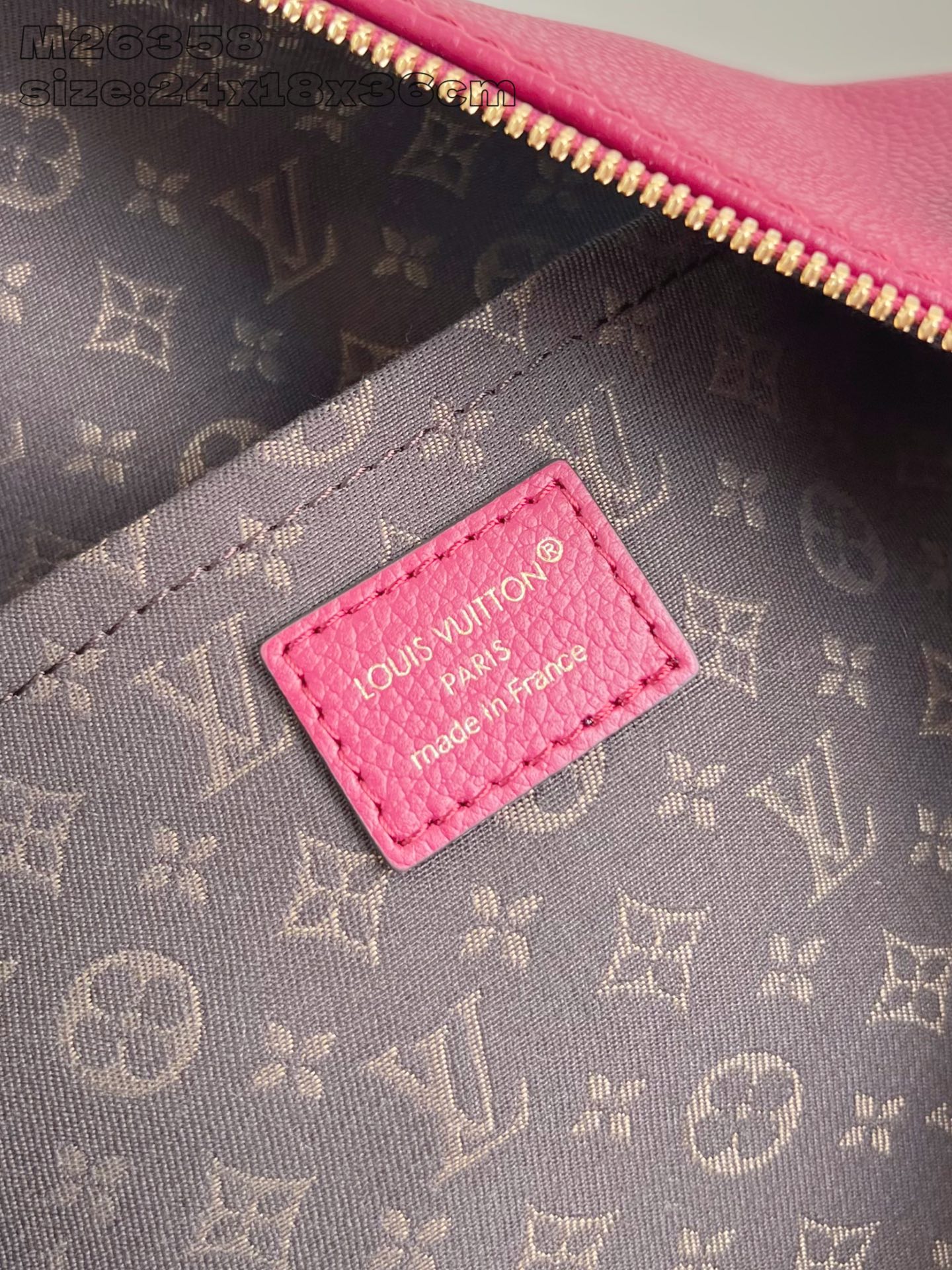 Louis Vuitton Female Basic Bag Cow Leather M-s