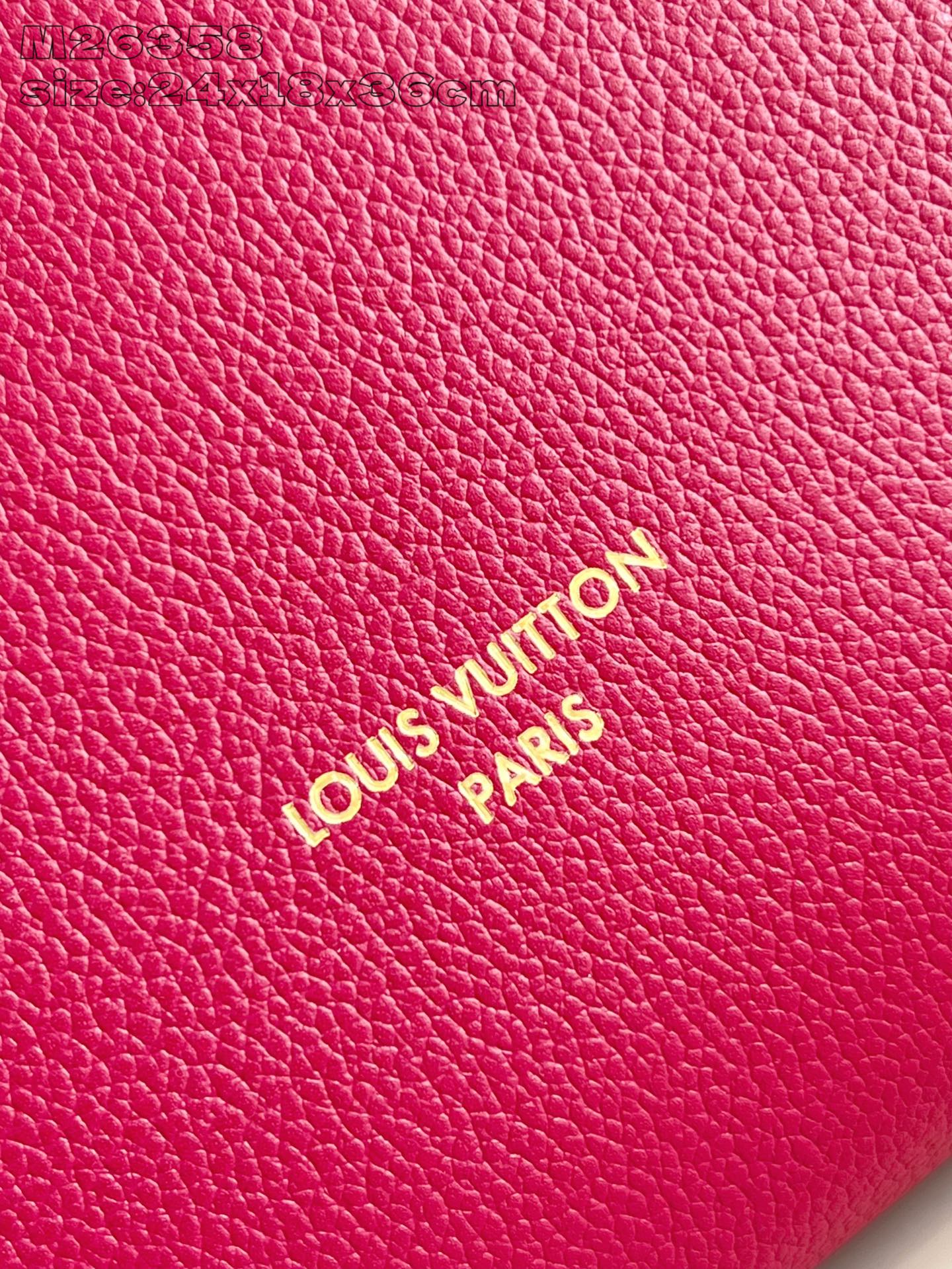 Louis Vuitton Female Basic Bag Cow Leather M-s