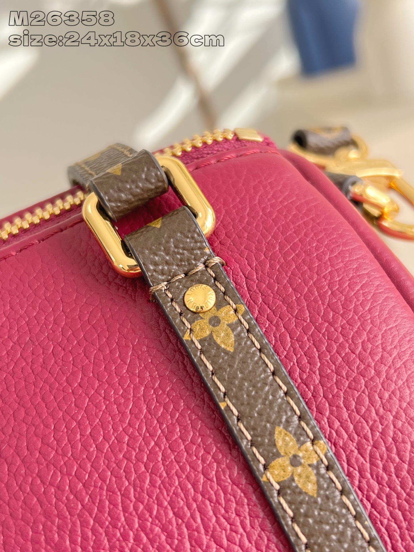 Louis Vuitton Female Basic Bag Cow Leather M-s