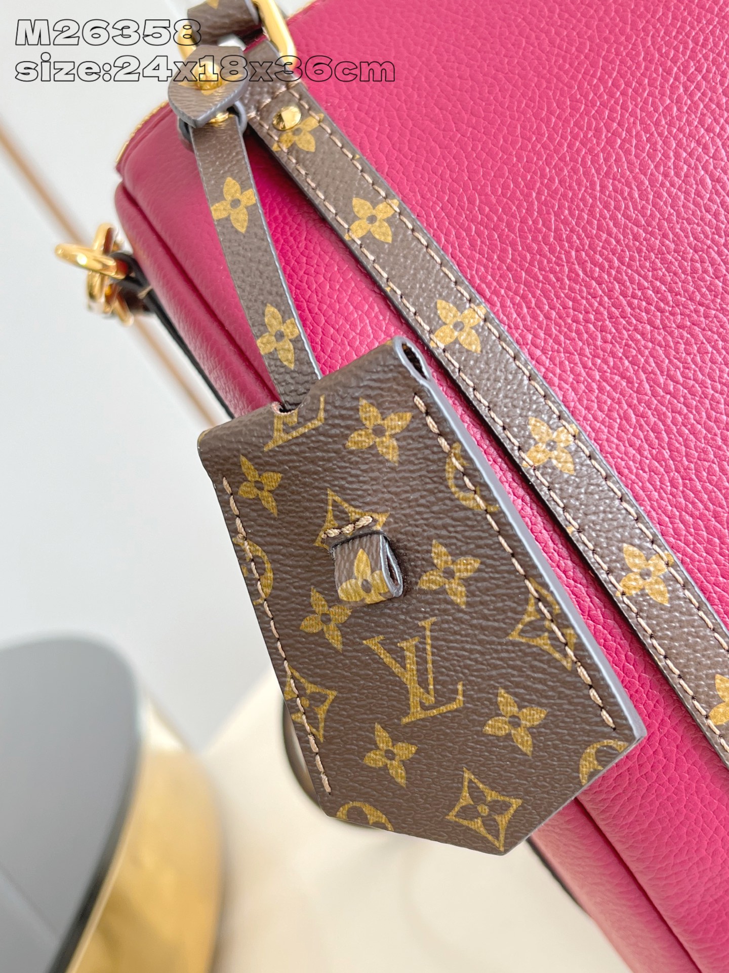 Louis Vuitton Female Basic Bag Cow Leather M-s