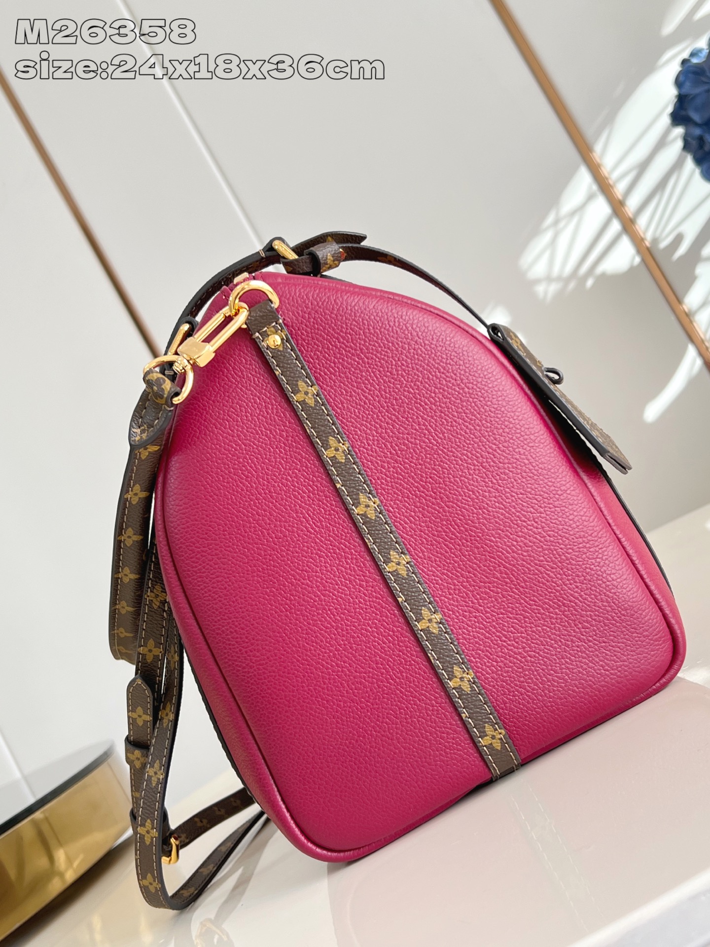 Louis Vuitton Female Basic Bag Cow Leather M-s