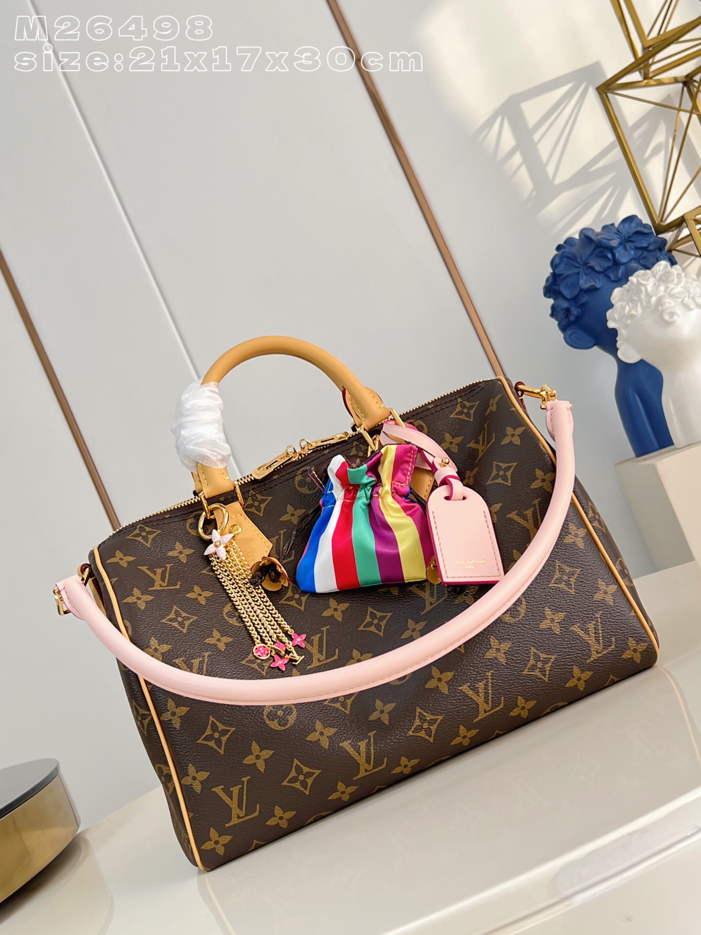Louis Vuitton Basic Bag Canvas M-s