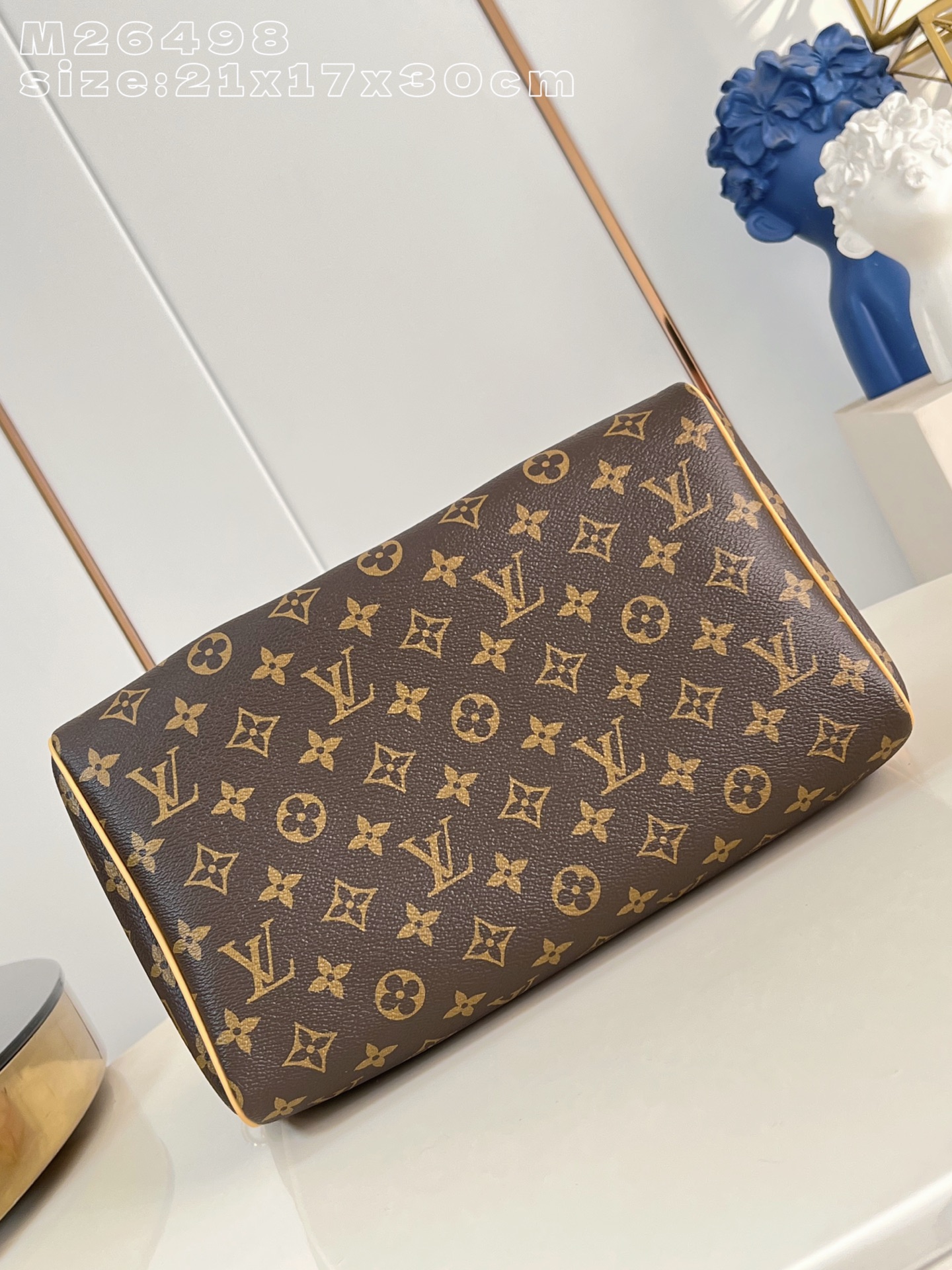 Louis Vuitton Basic Bag Canvas M-s