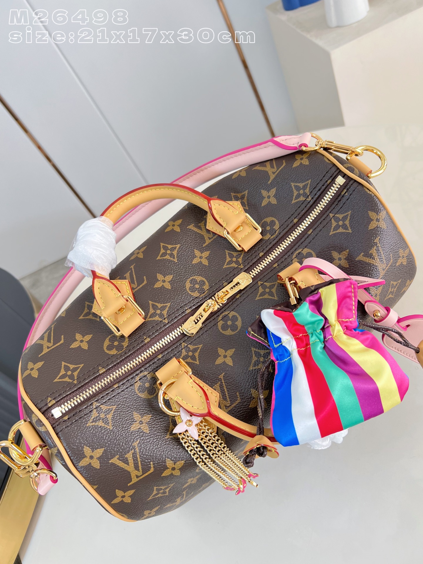Louis Vuitton Basic Bag Canvas M-s