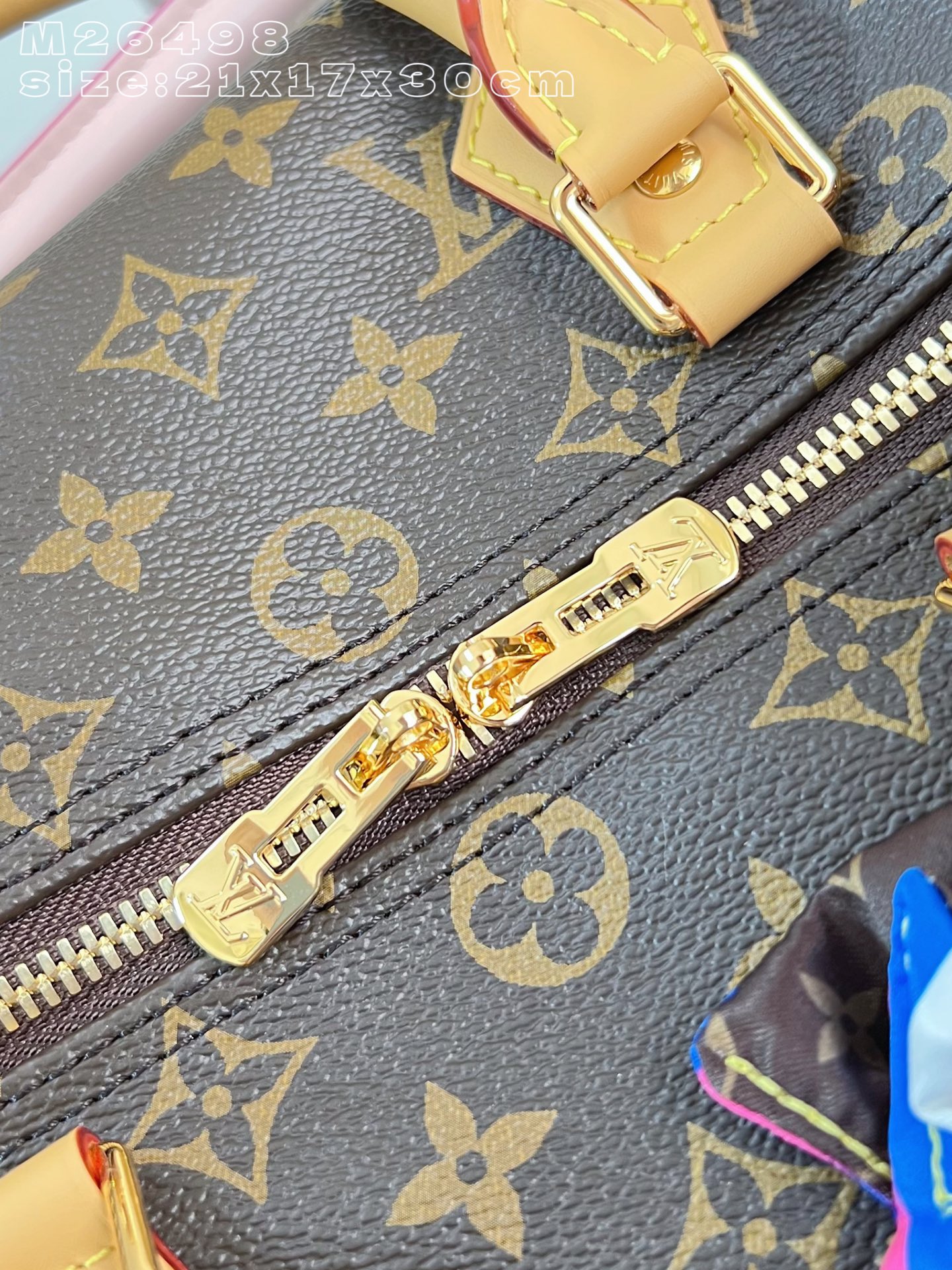 Louis Vuitton Basic Bag Canvas M-s