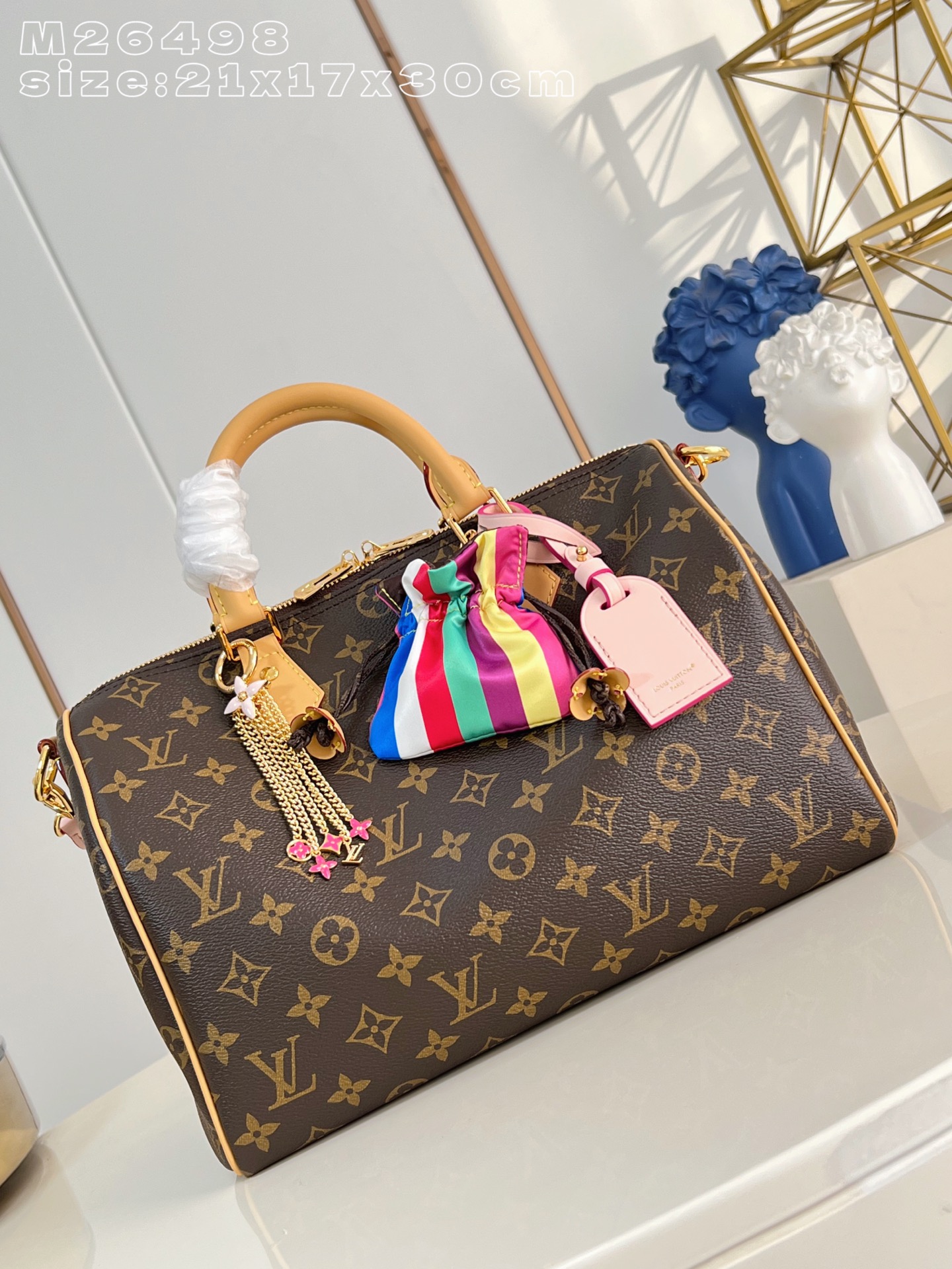 Louis Vuitton Basic Bag Canvas M-s