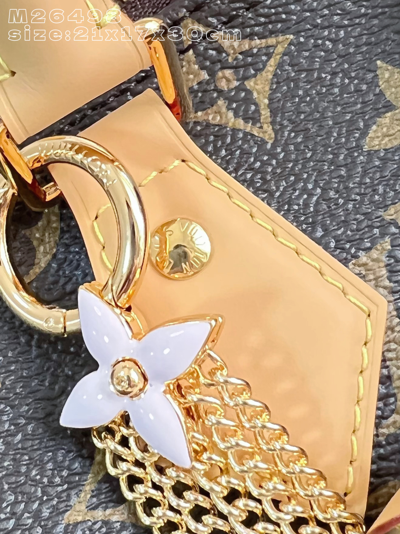 Louis Vuitton Basic Bag Canvas M-s