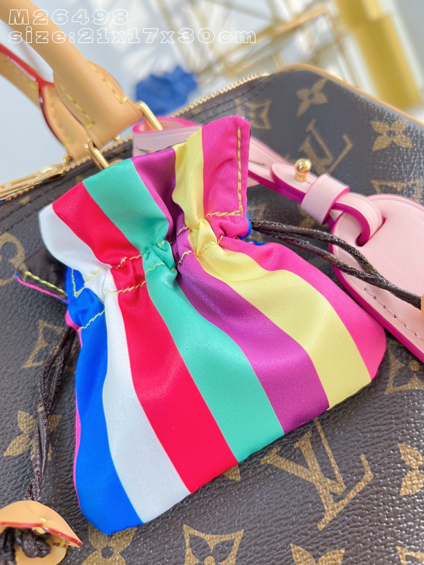 Louis Vuitton Basic Bag Canvas M-s