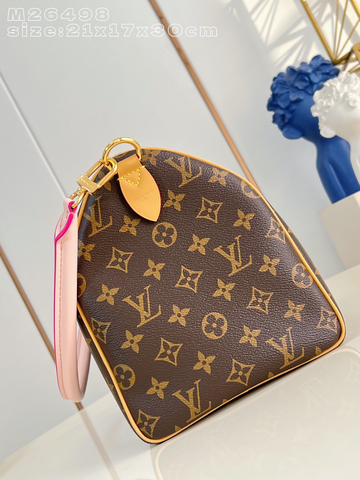 Louis Vuitton Basic Bag Canvas M-s