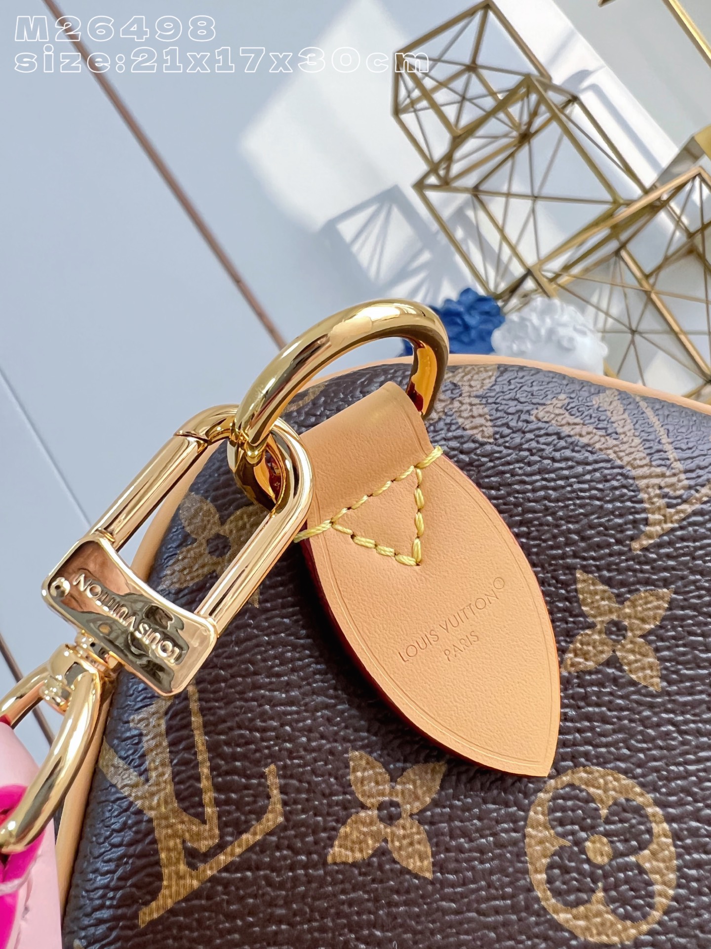 Louis Vuitton Basic Bag Canvas M-s