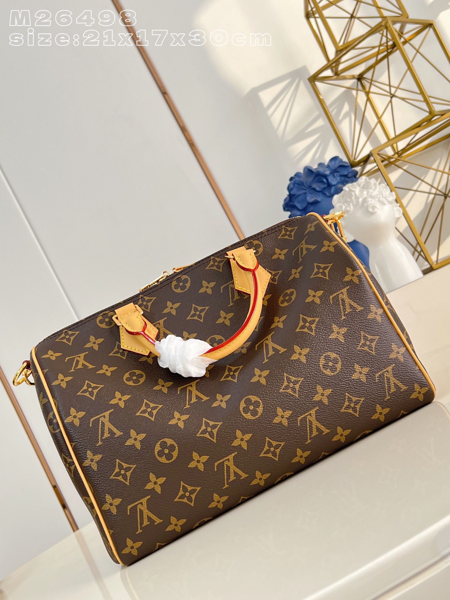 Louis Vuitton Basic Bag Canvas M-s