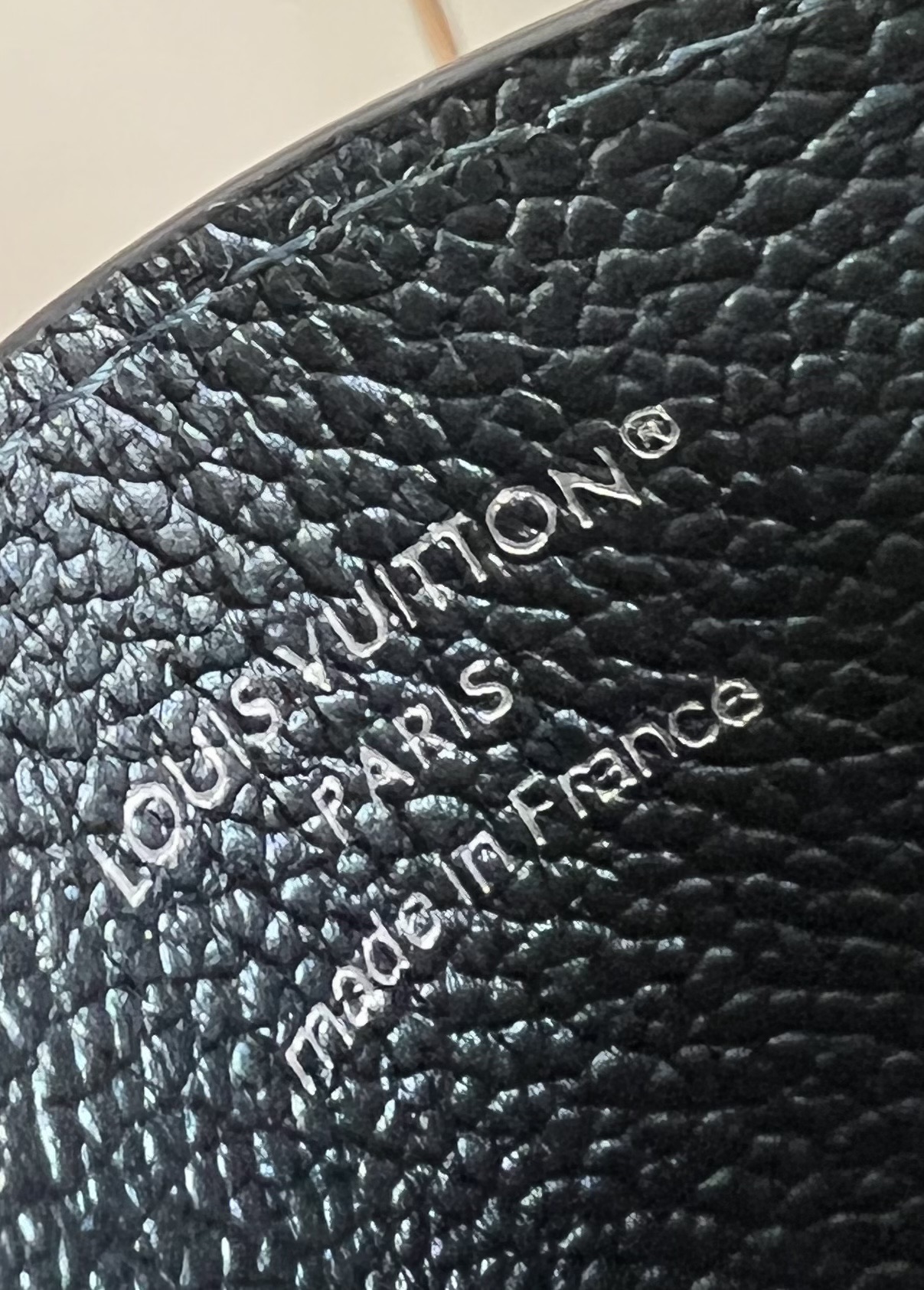 Louis Vuitton Basic Bag Cow Leather M-l-s