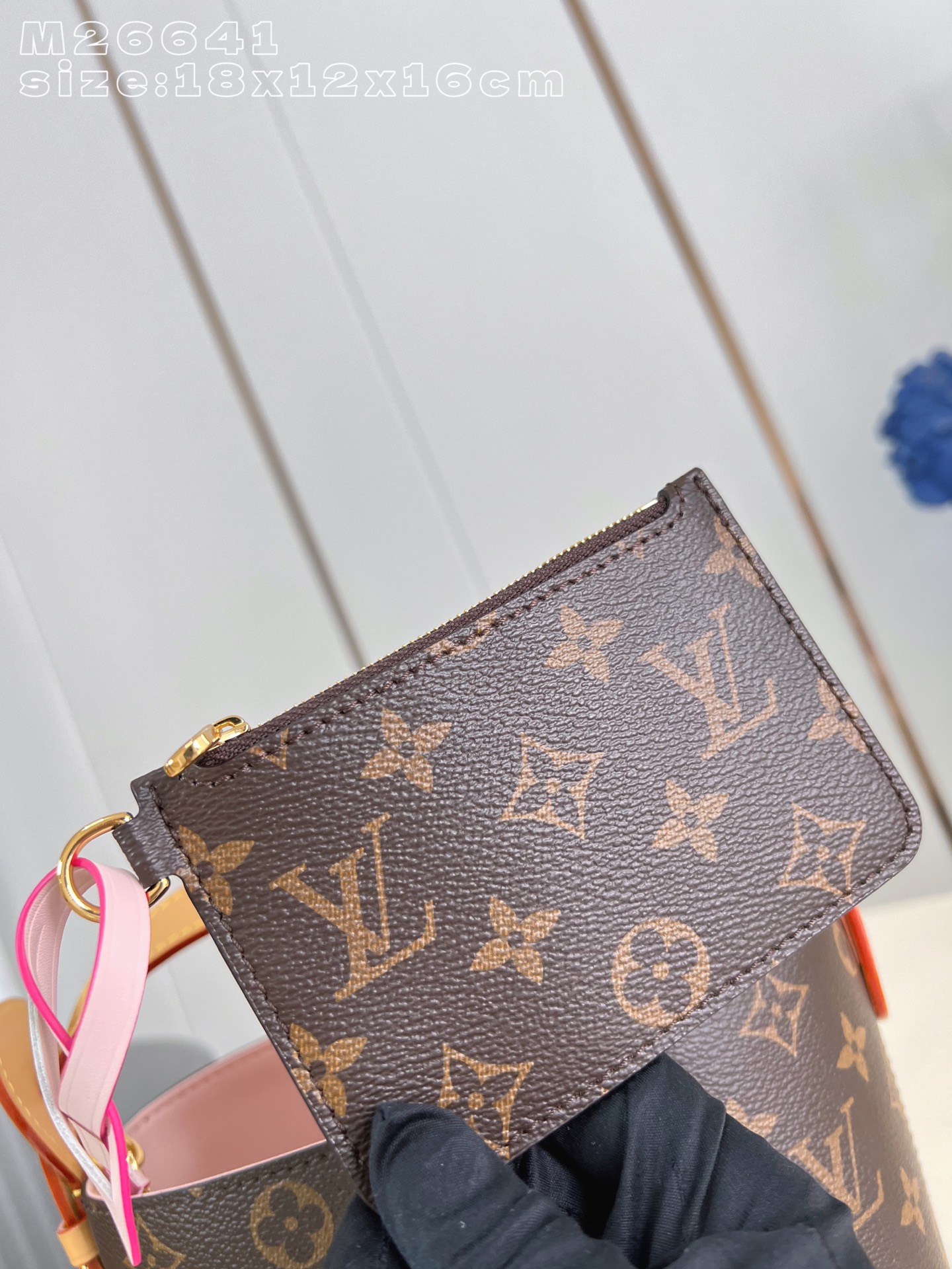 Louis Vuitton Basic Bag Canvas Foldable M-l