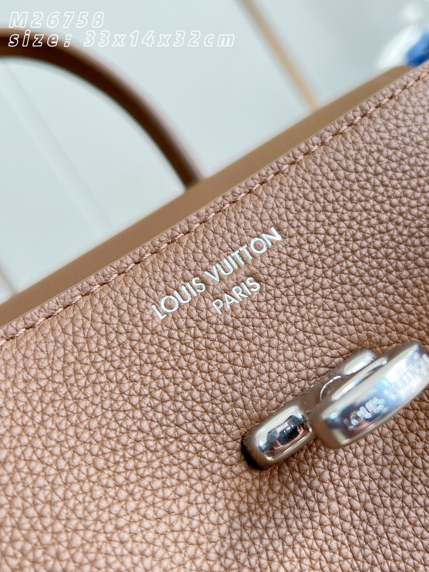 Louis Vuitton Basic Bag Cow Leather M-l-s