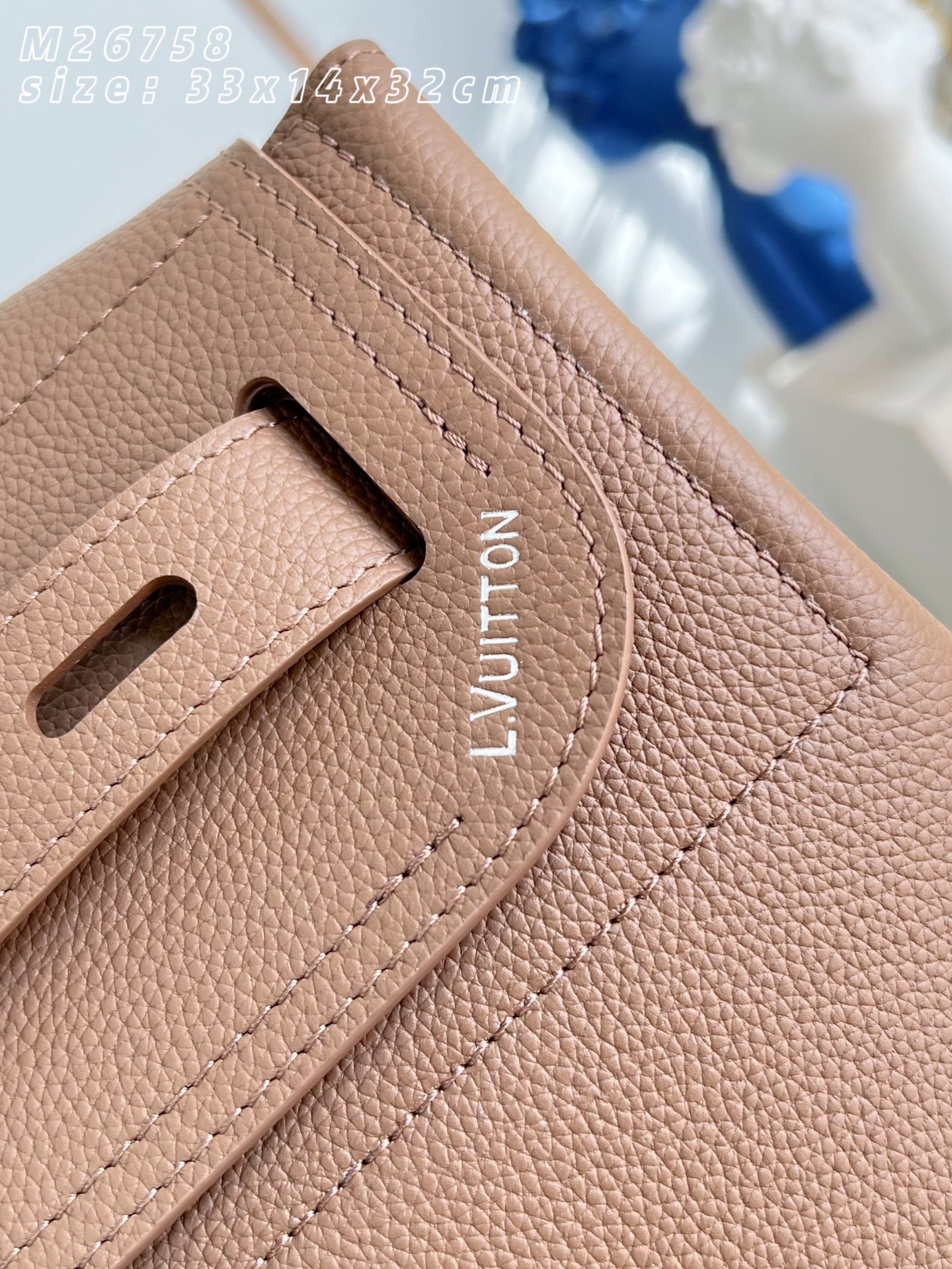 Louis Vuitton Basic Bag Cow Leather M-l-s