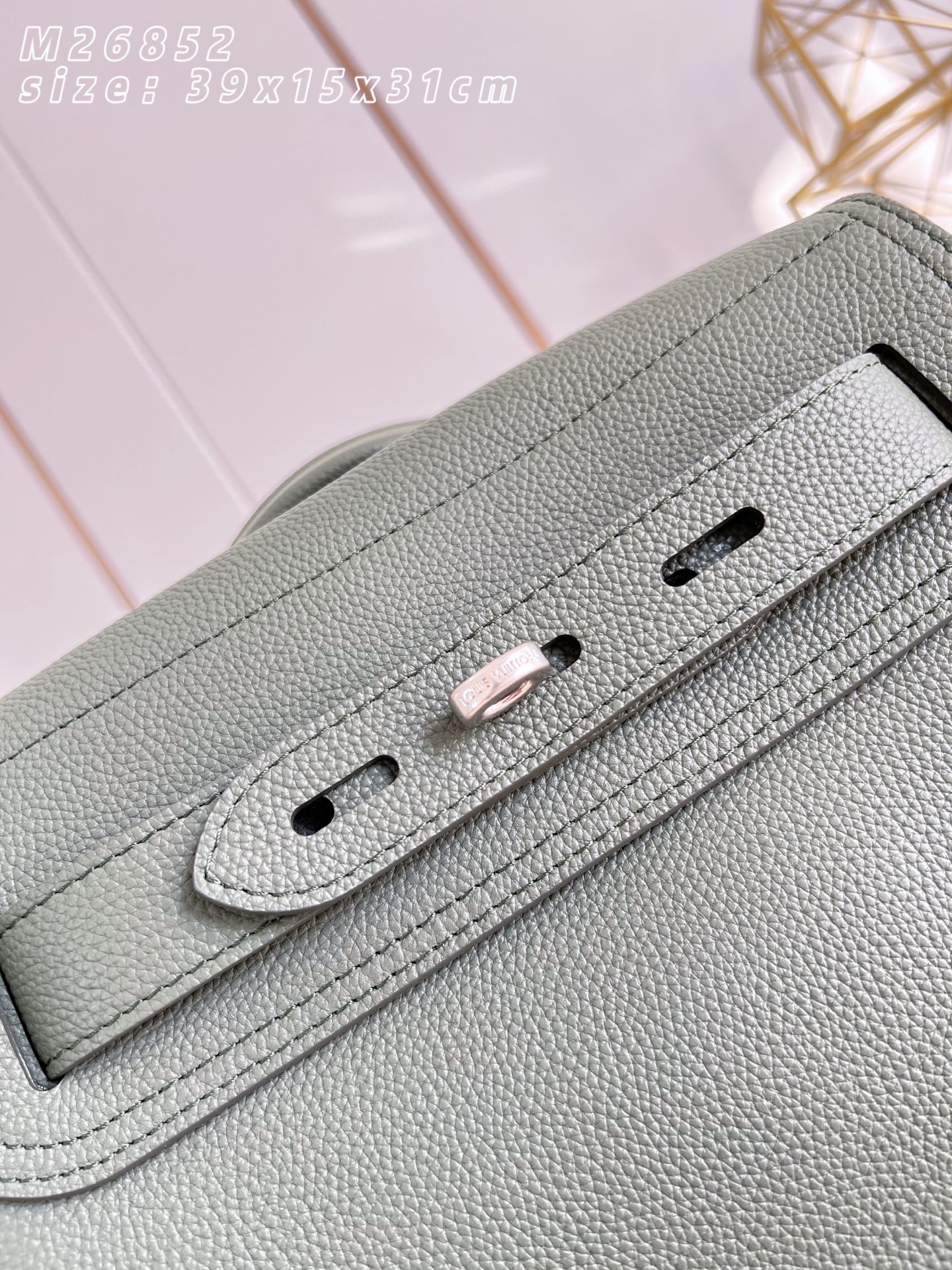 Louis Vuitton Backpack Cow Leather M-l-s