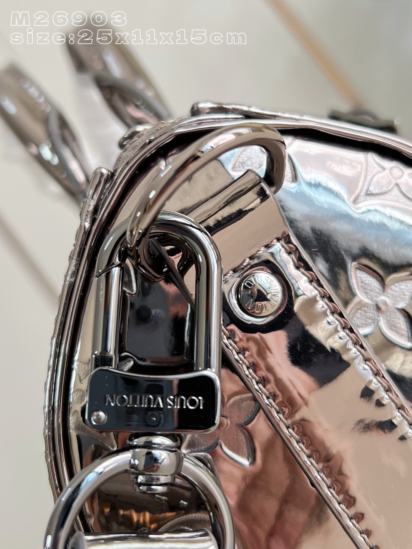 Louis Vuitton Basic Bag Canvas M-l