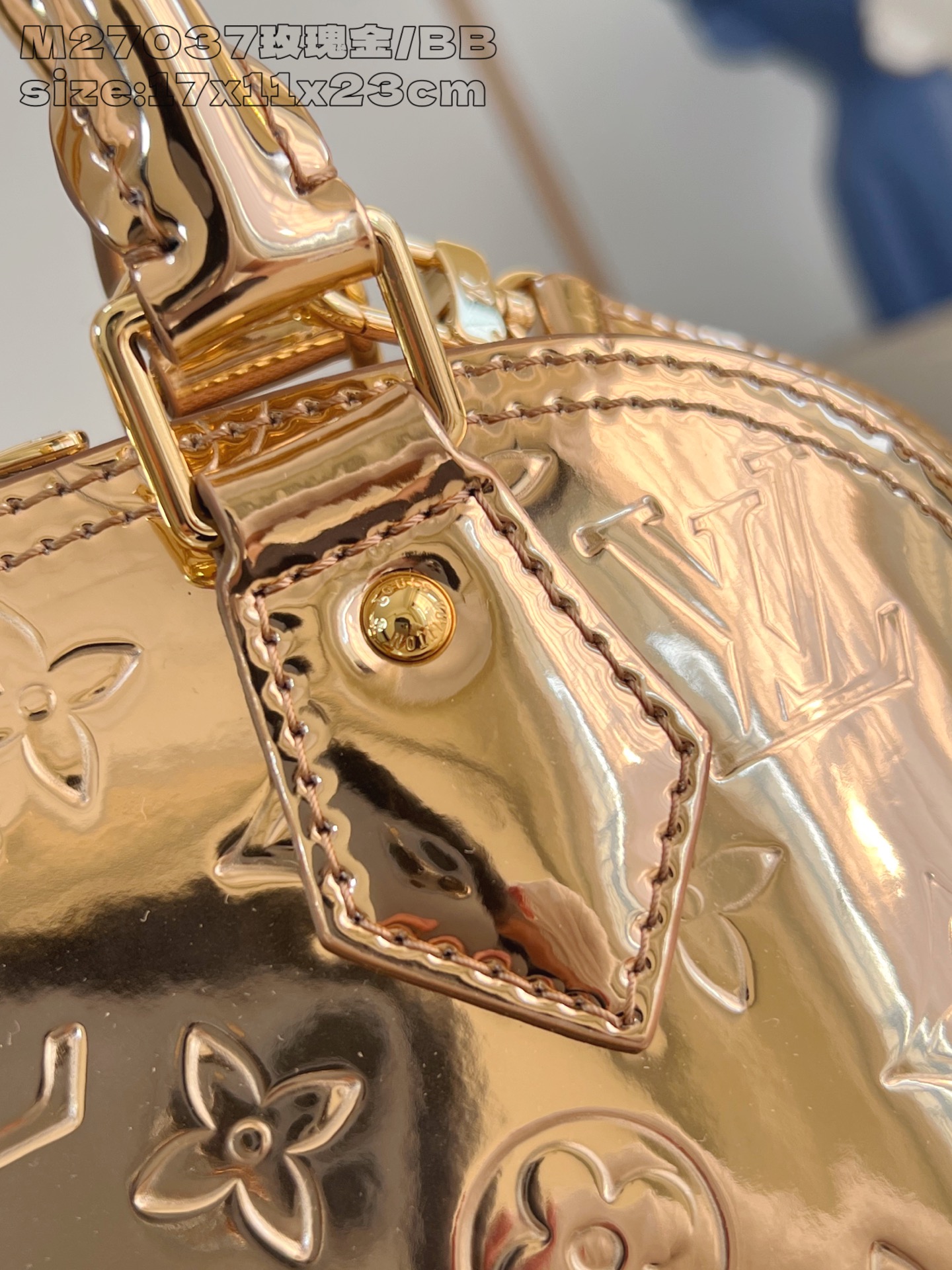 Louis Vuitton Basic Bag Canvas M-l-s