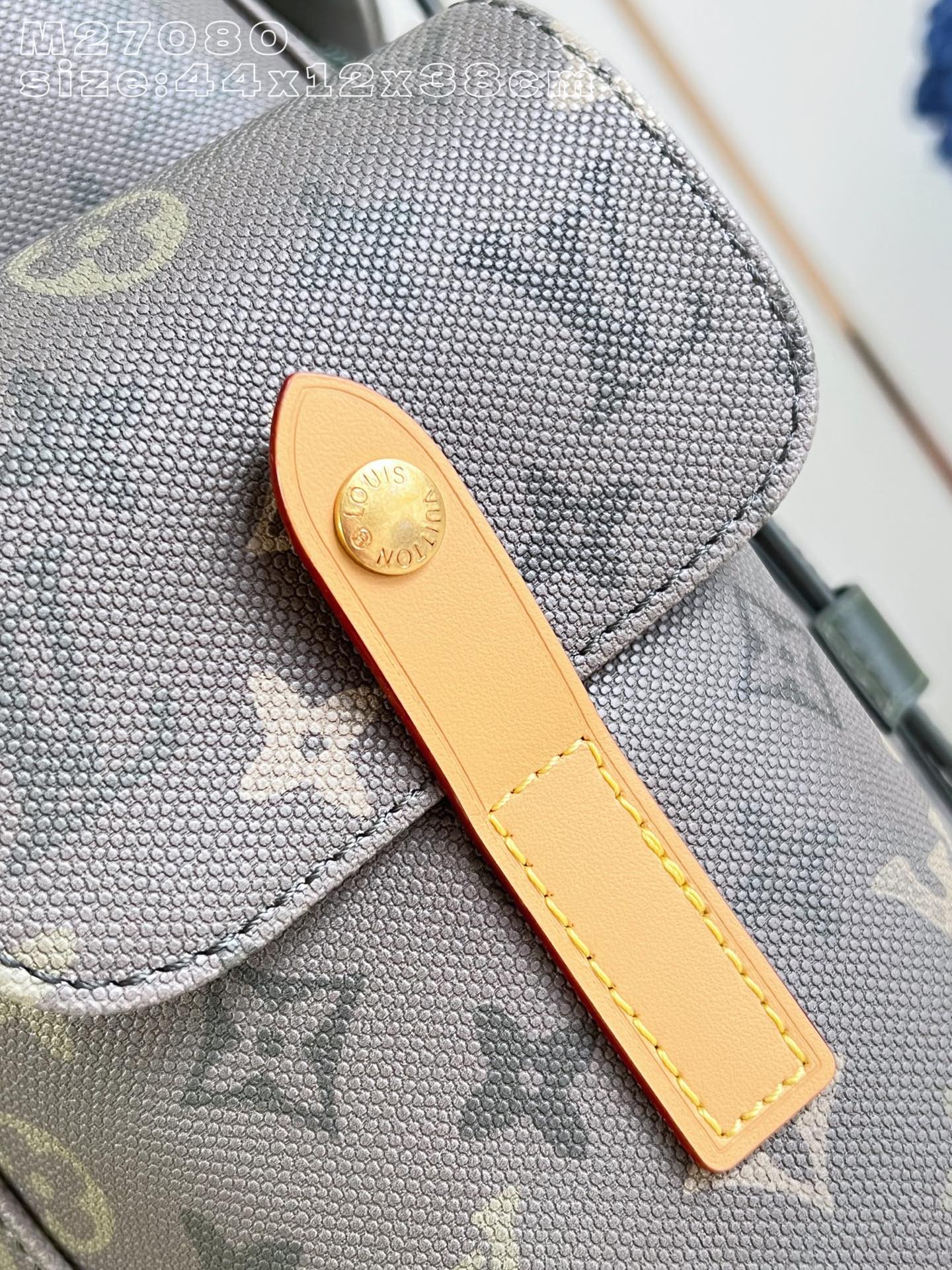 Louis Vuitton Backpack Canvas M-s