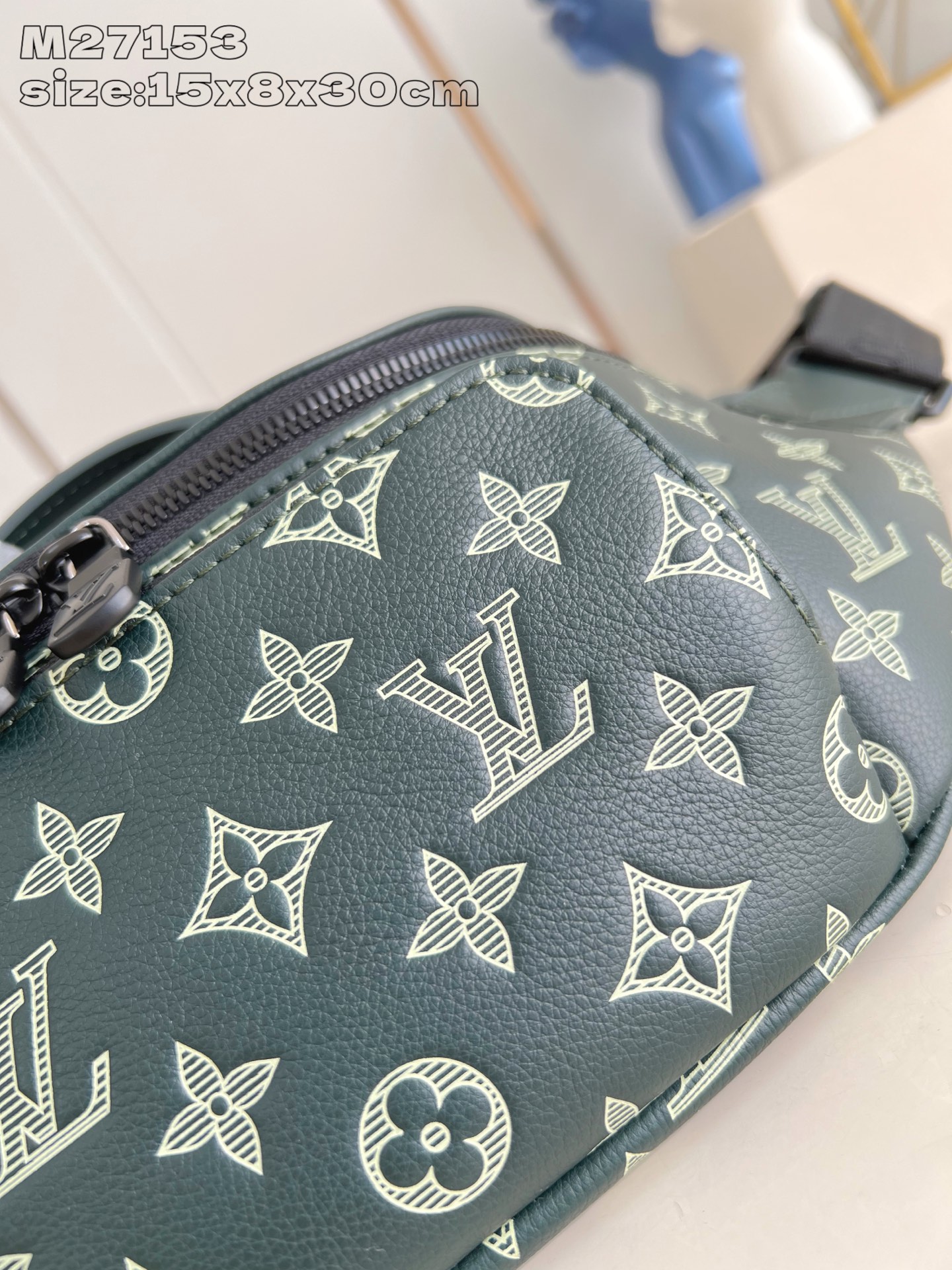 Louis Vuitton Basic Bag Cow Leather M-s