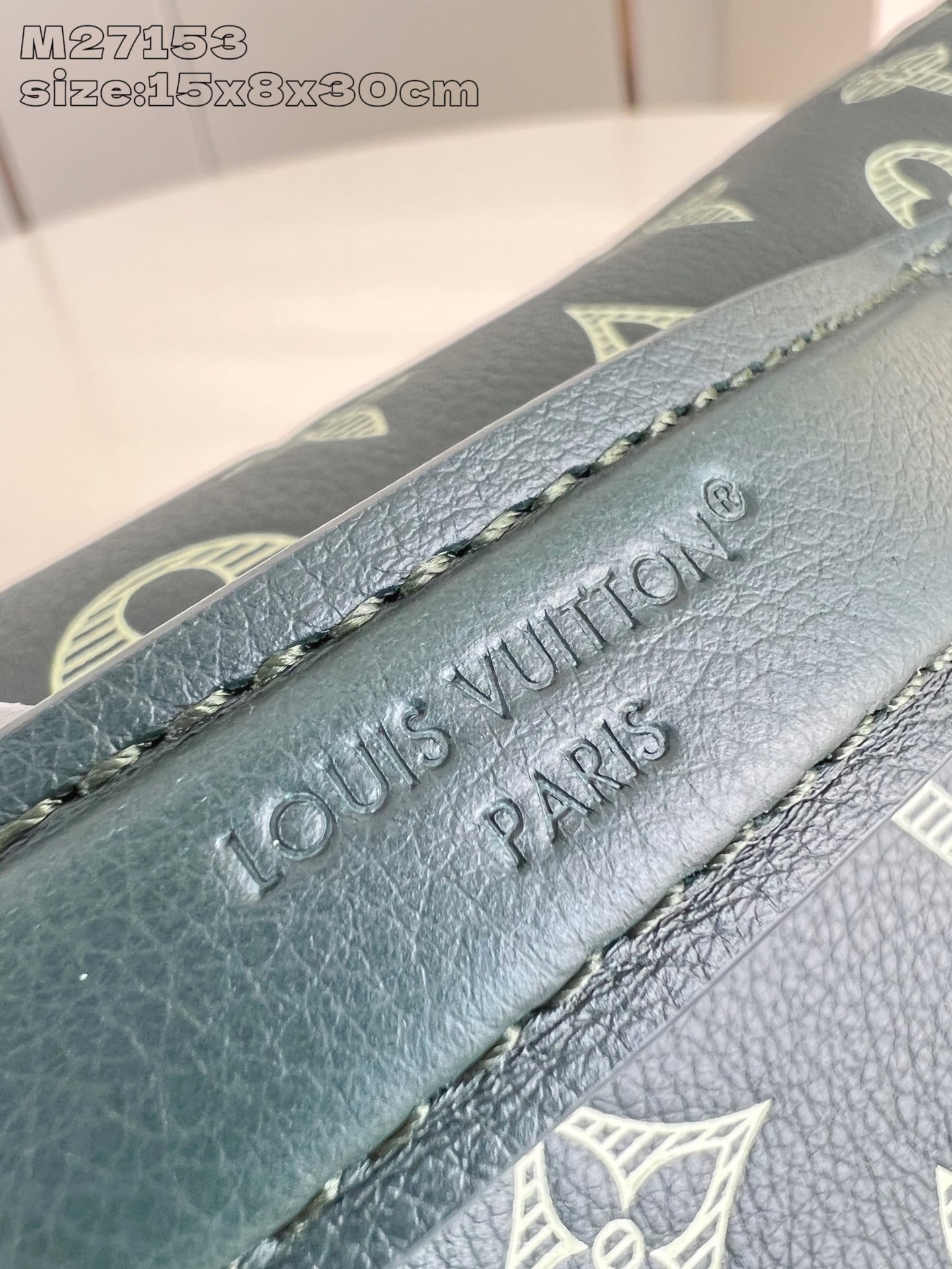 Louis Vuitton Basic Bag Cow Leather M-s