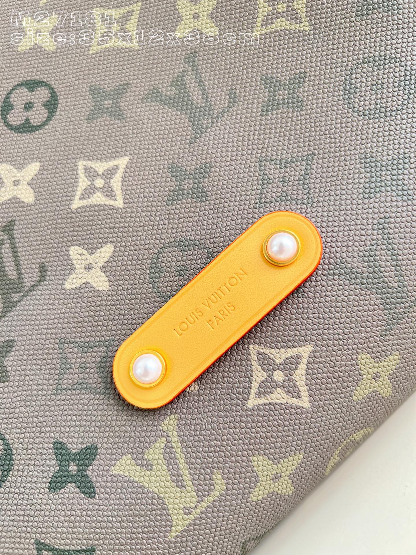 Louis Vuitton Basic Bag Canvas M-l-s