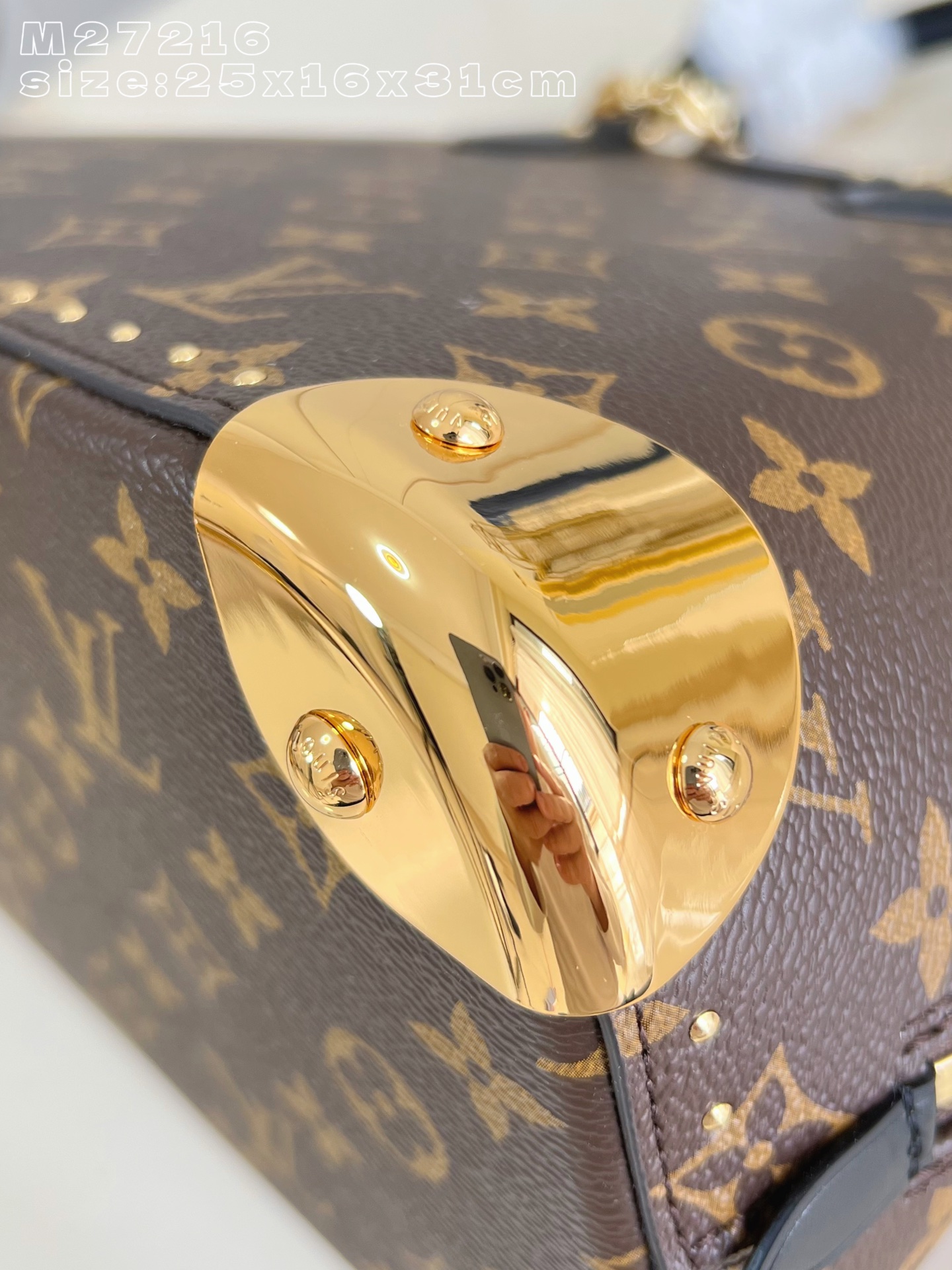 Louis Vuitton Basic Bag Cow Leather M-l