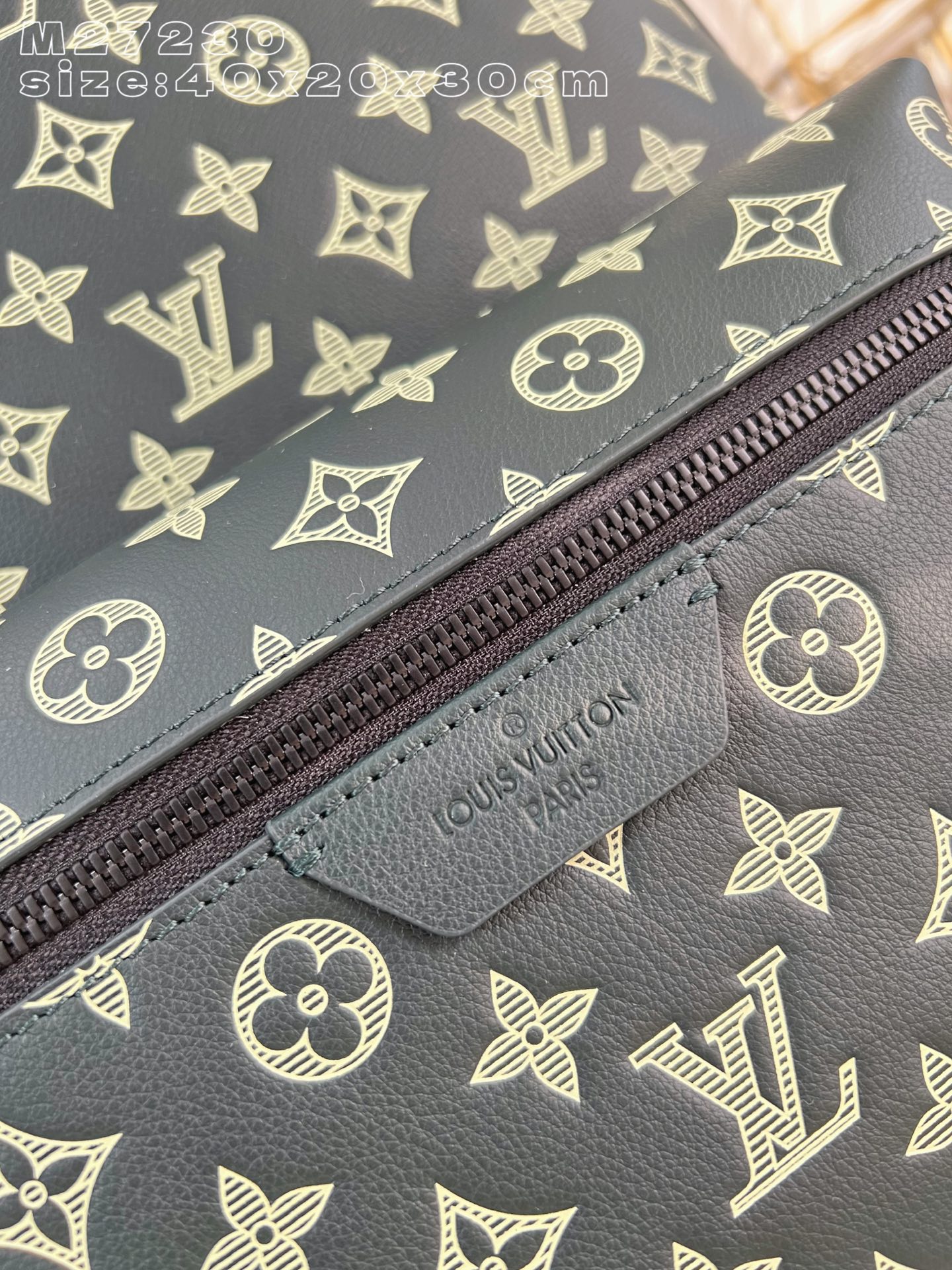 Louis Vuitton Backpack Cow Leather M-s