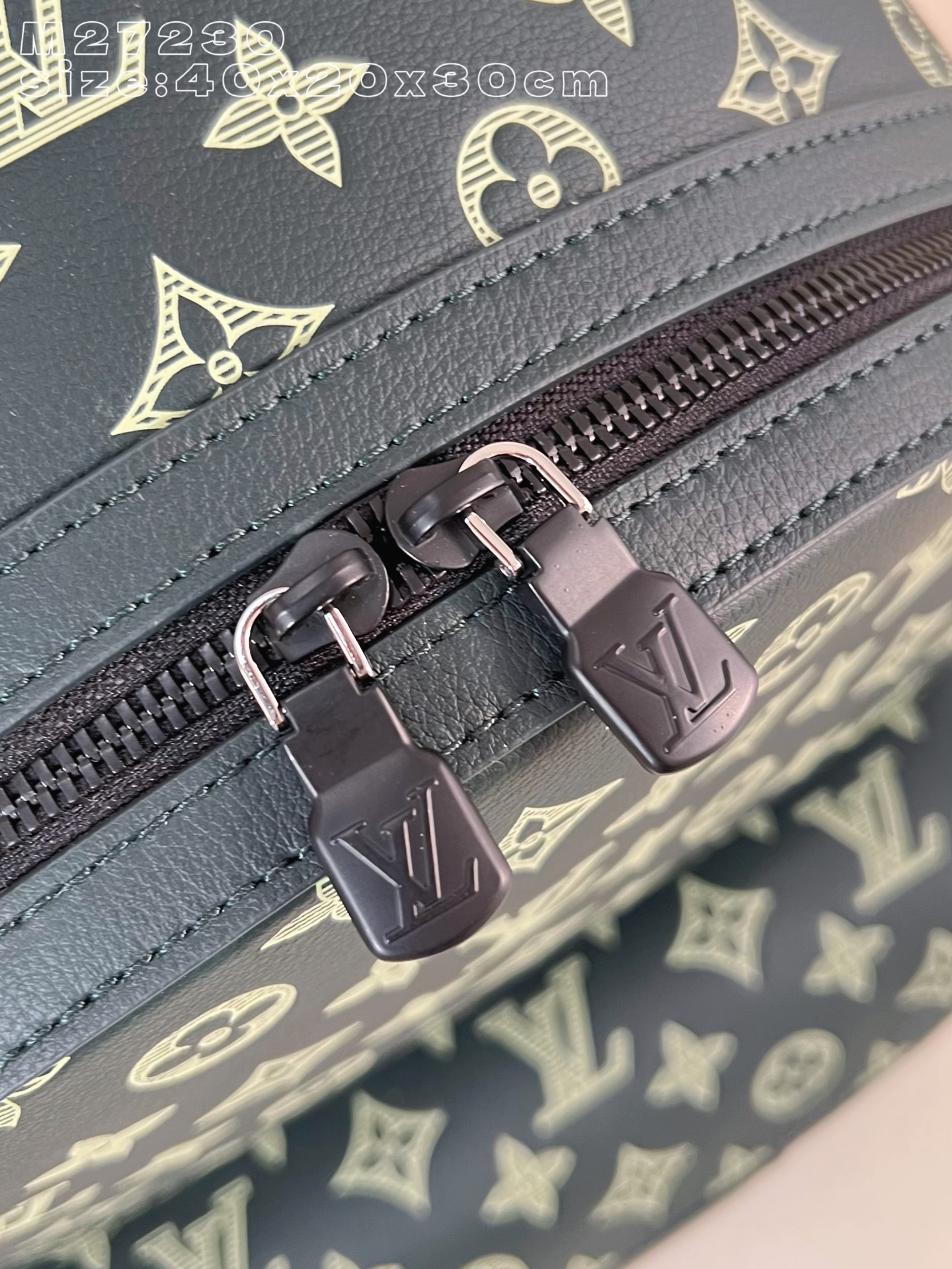 Louis Vuitton Backpack Cow Leather M-s