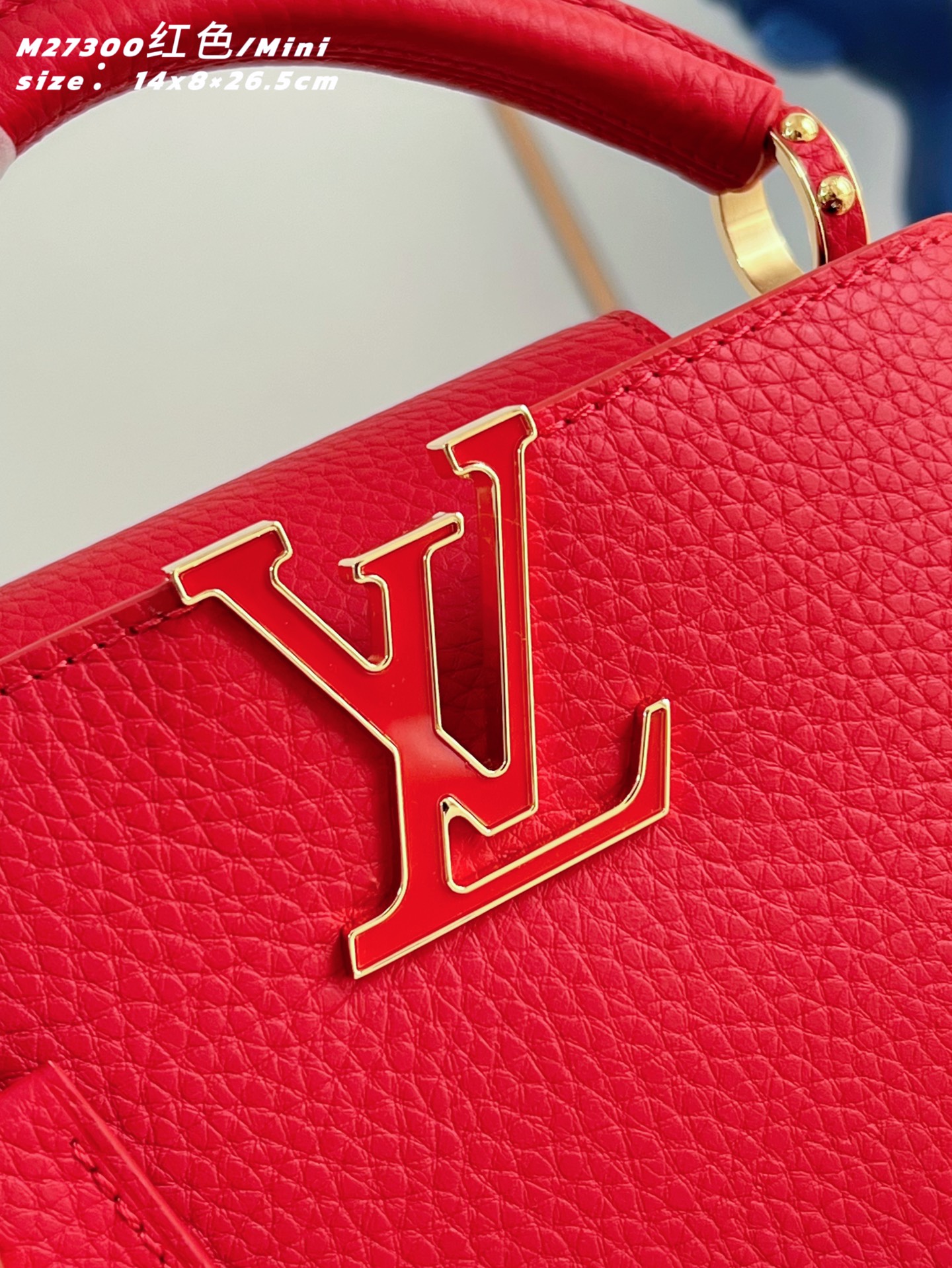 Louis Vuitton Basic Bag Cow Leather Red M-l-s