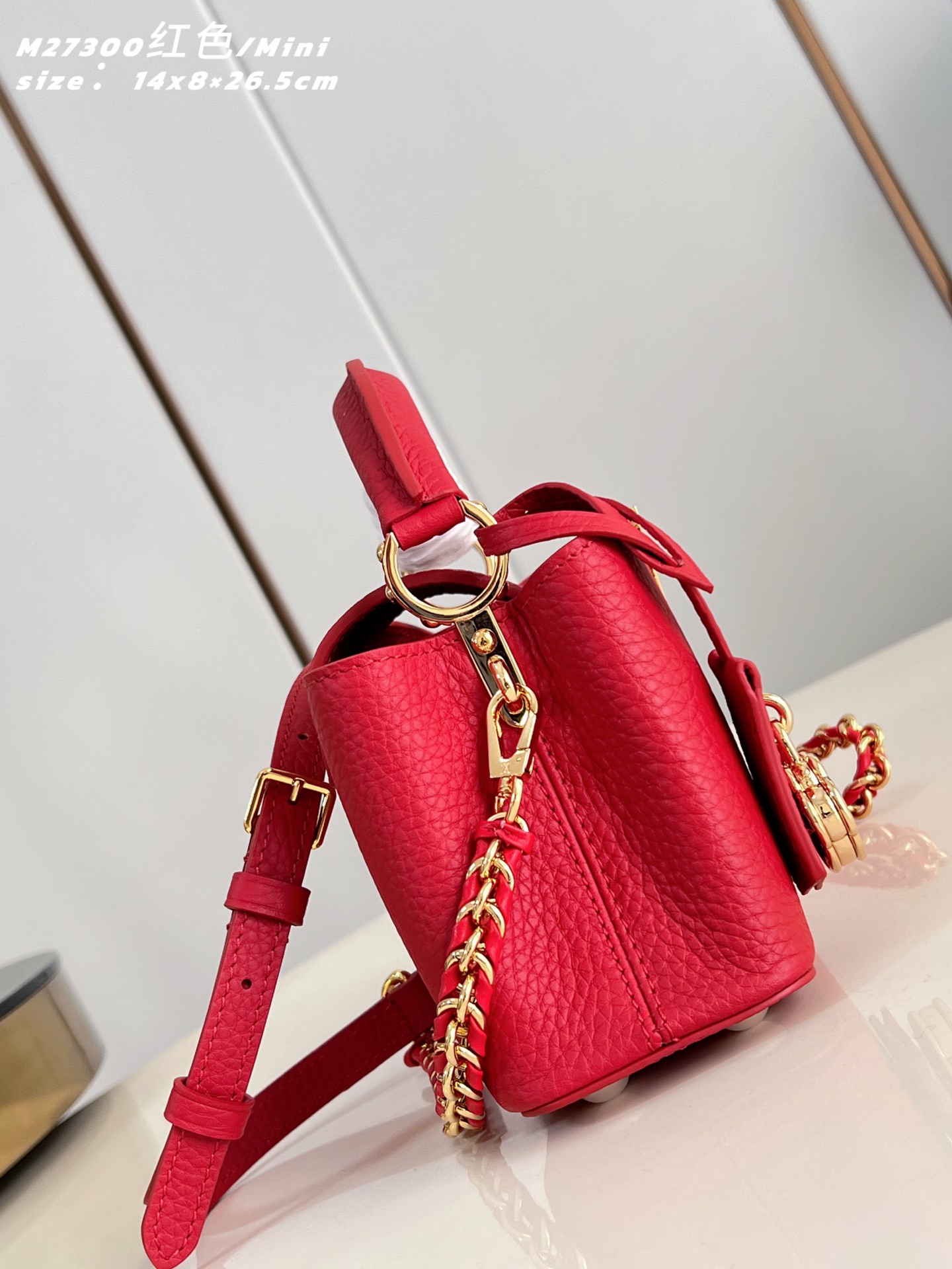 Louis Vuitton Basic Bag Cow Leather Red M-l-s