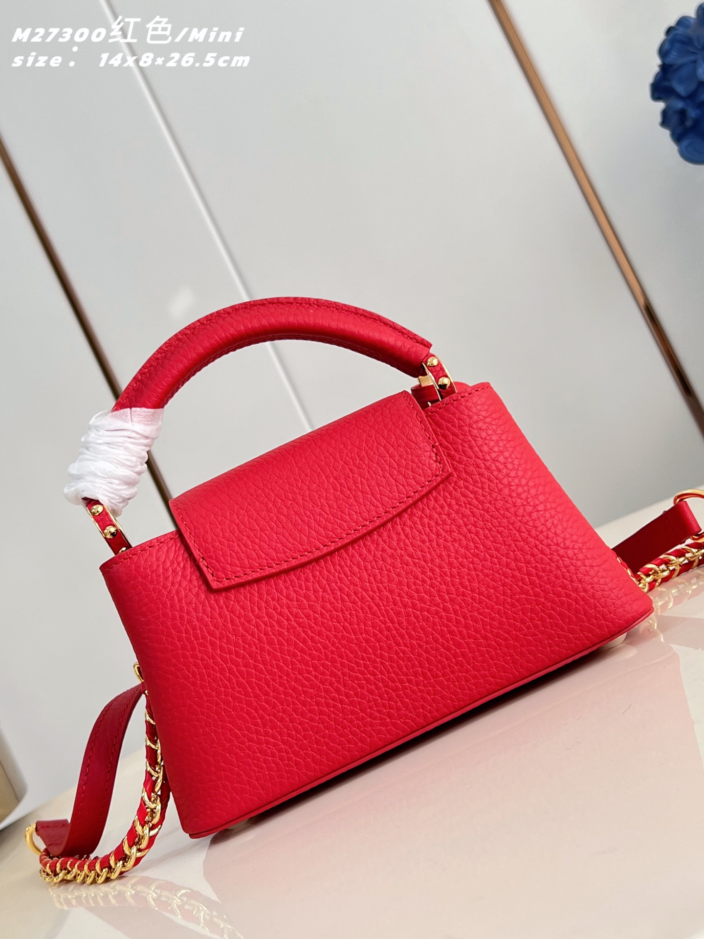 Louis Vuitton Basic Bag Cow Leather Red M-l-s