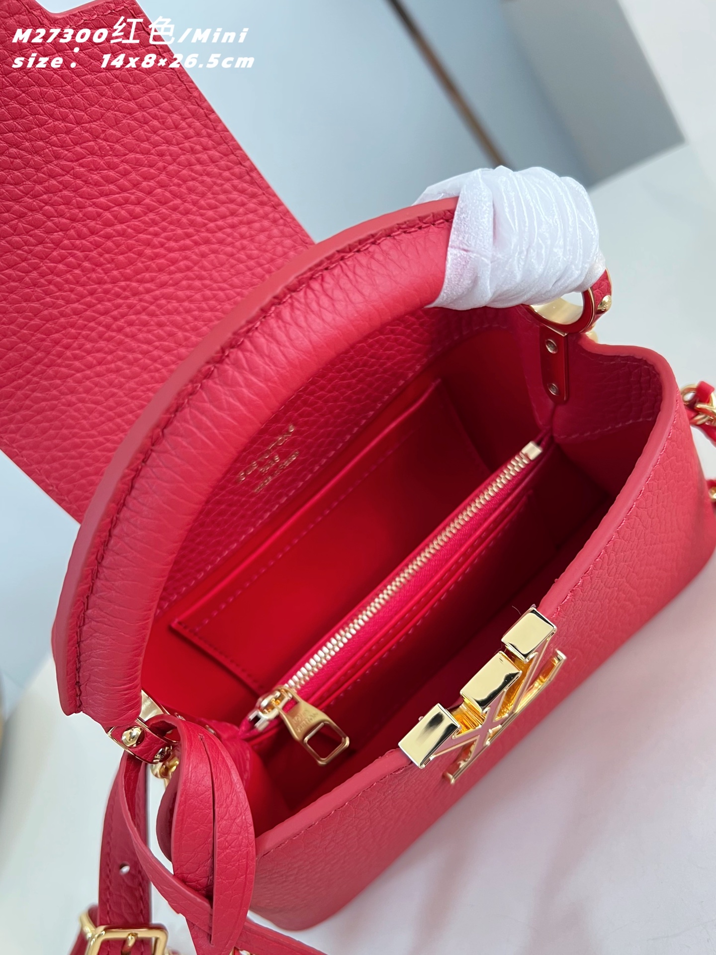 Louis Vuitton Basic Bag Cow Leather Red M-l-s