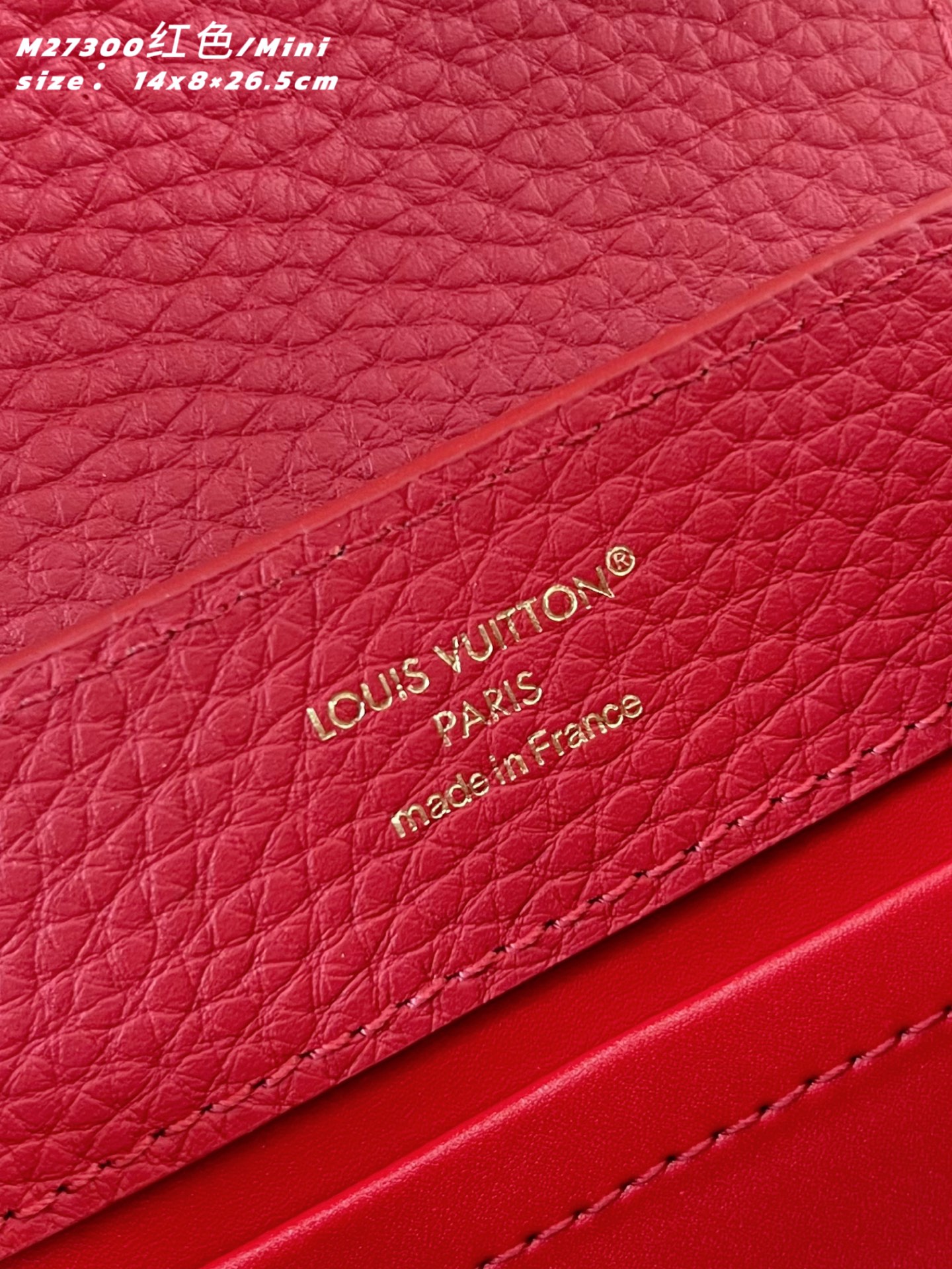 Louis Vuitton Basic Bag Cow Leather Red M-l-s