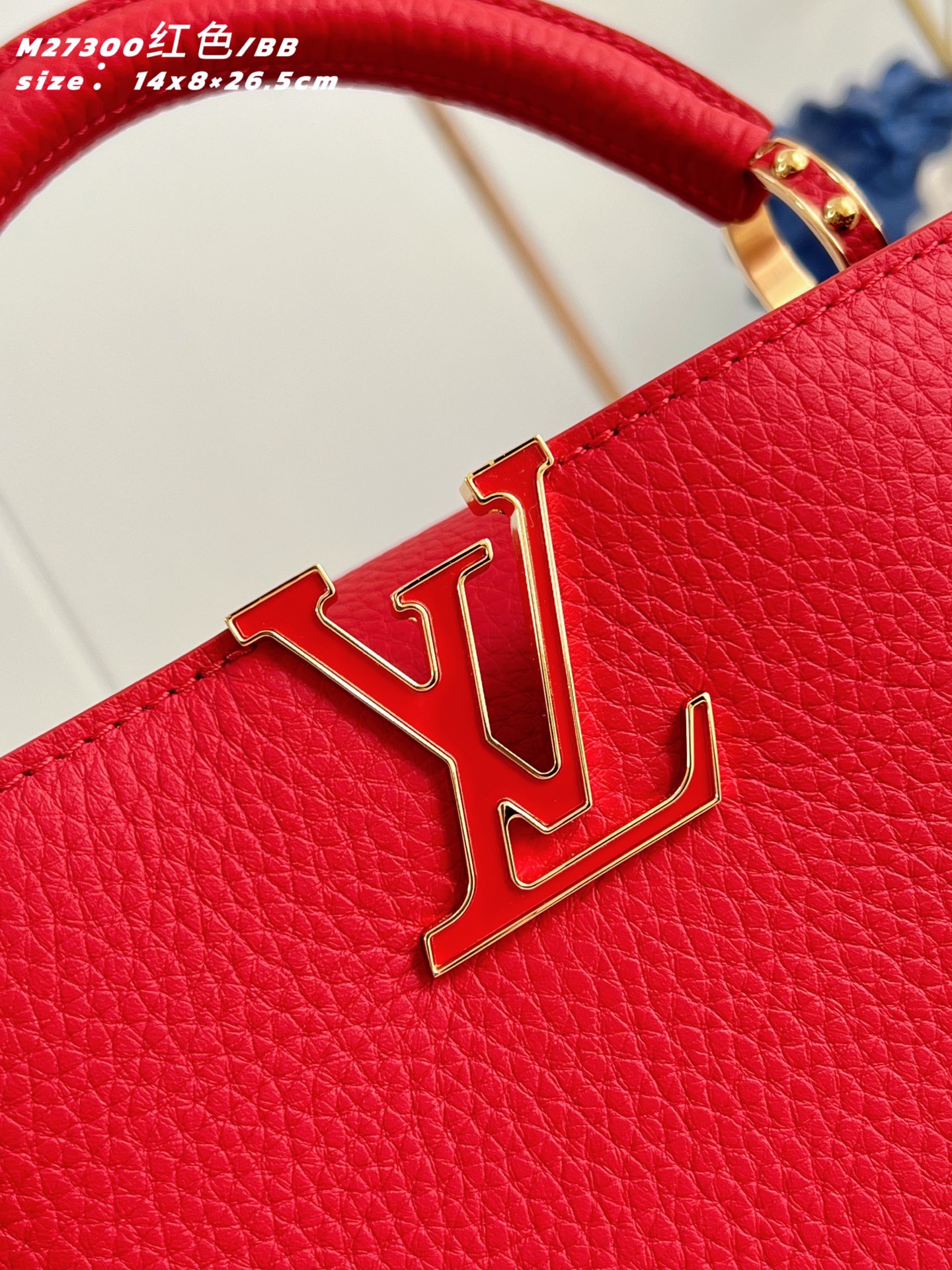 Louis Vuitton Basic Bag Cow Leather Red M-l-s