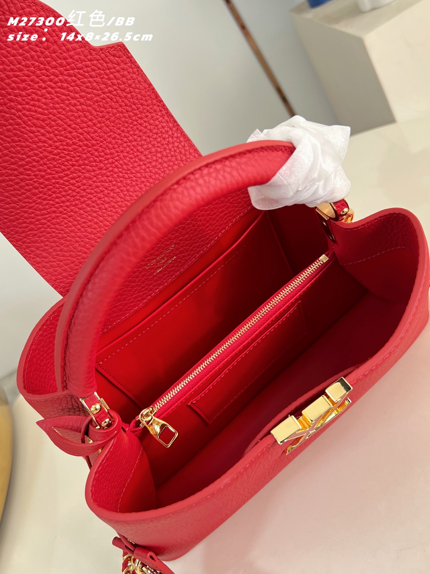Louis Vuitton Basic Bag Cow Leather Red M-l-s