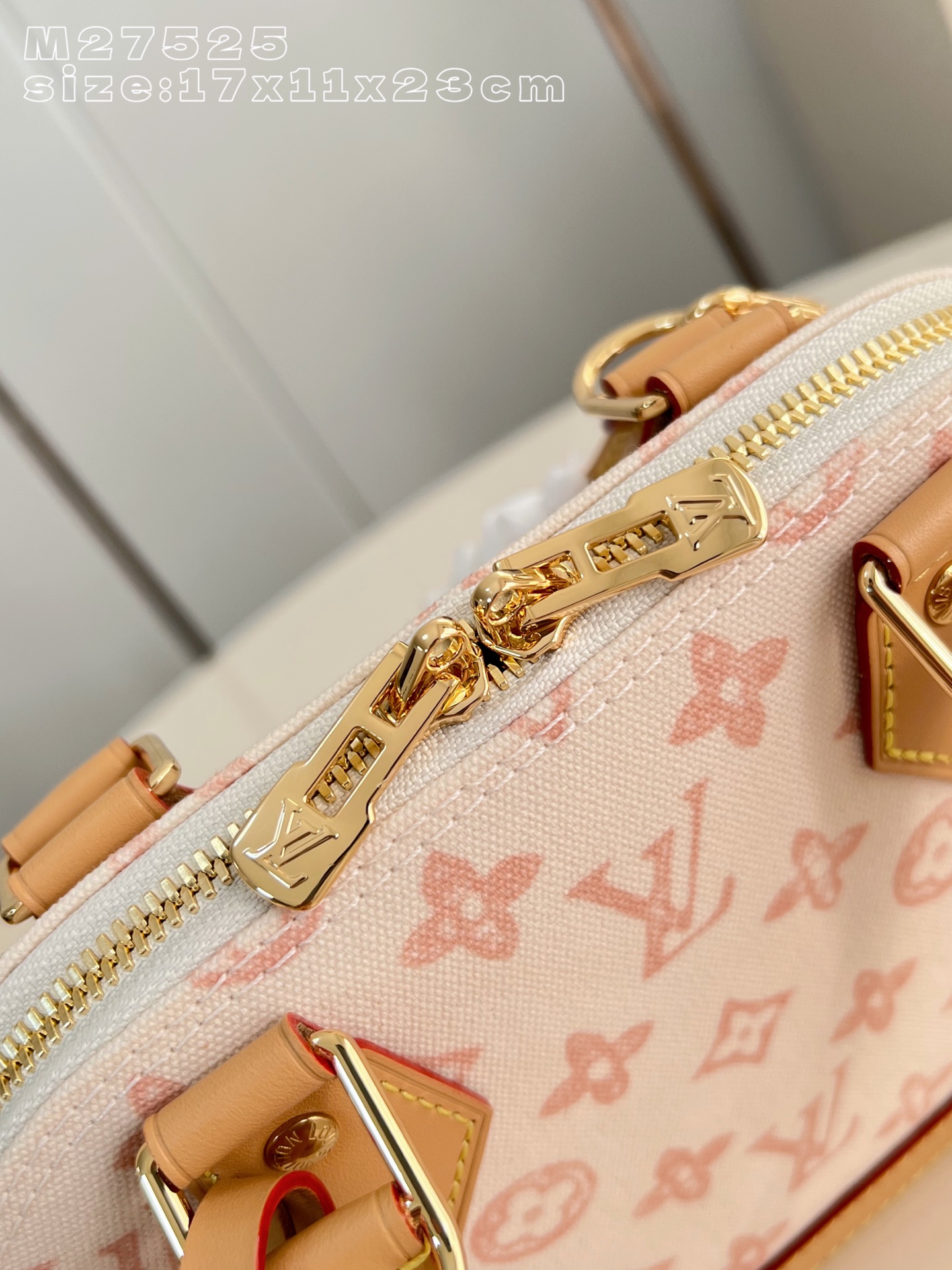 Louis Vuitton Basic Bag Canvas M-l