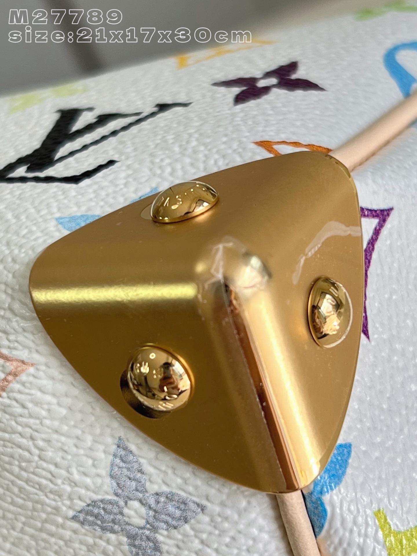 Louis Vuitton Basic Bag Cow Leather M-s