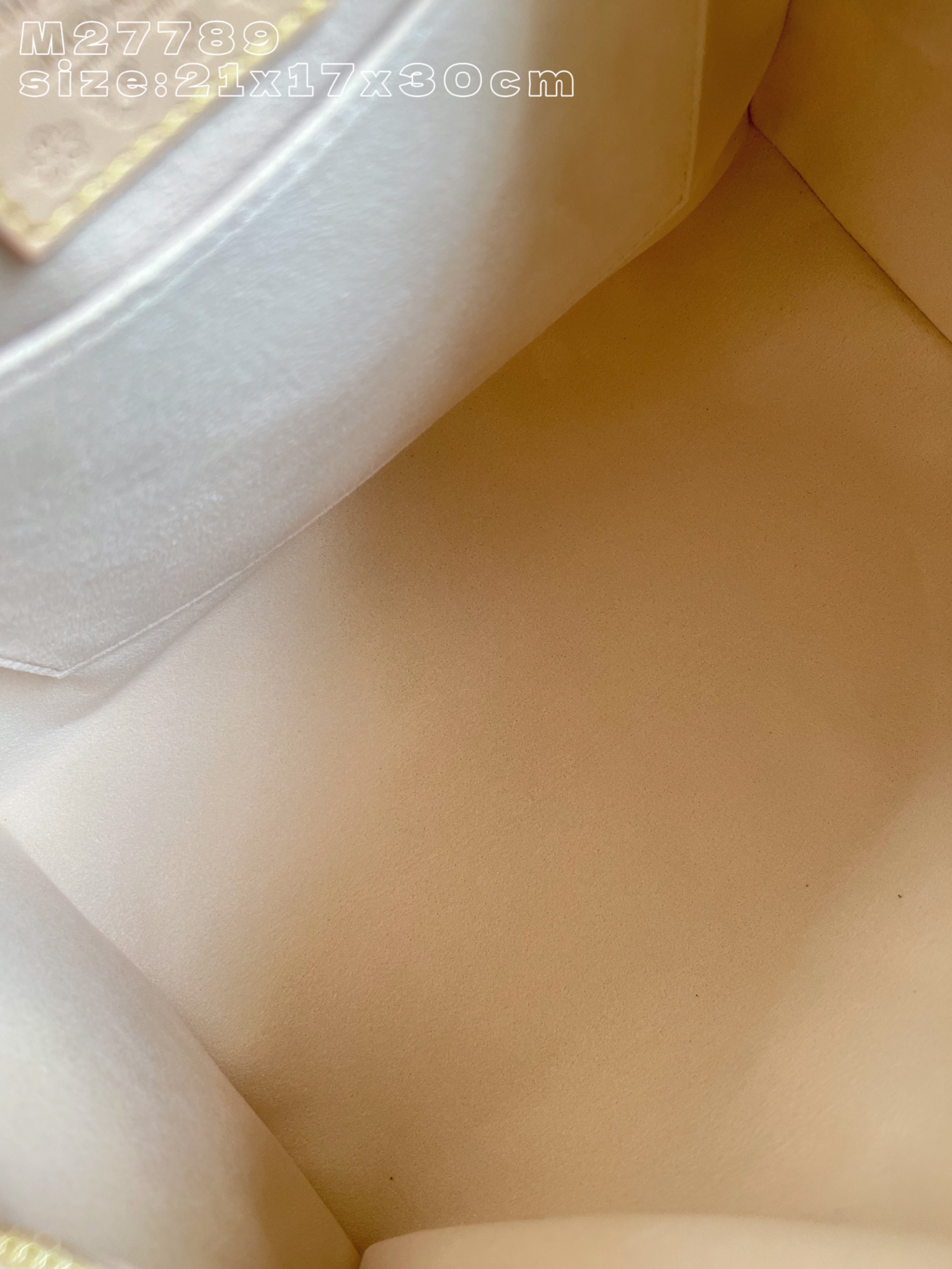 Louis Vuitton Basic Bag Cow Leather M-s