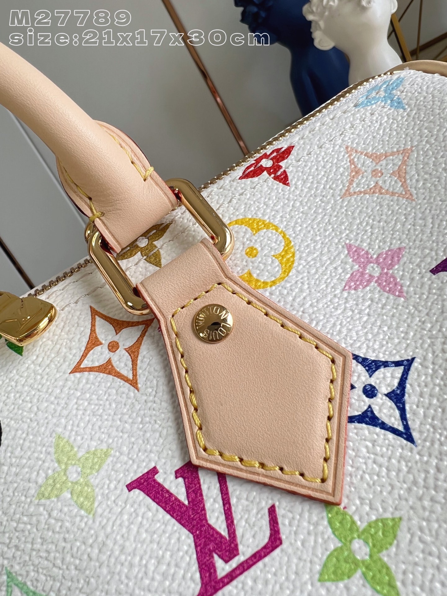 Louis Vuitton Basic Bag Cow Leather M-s