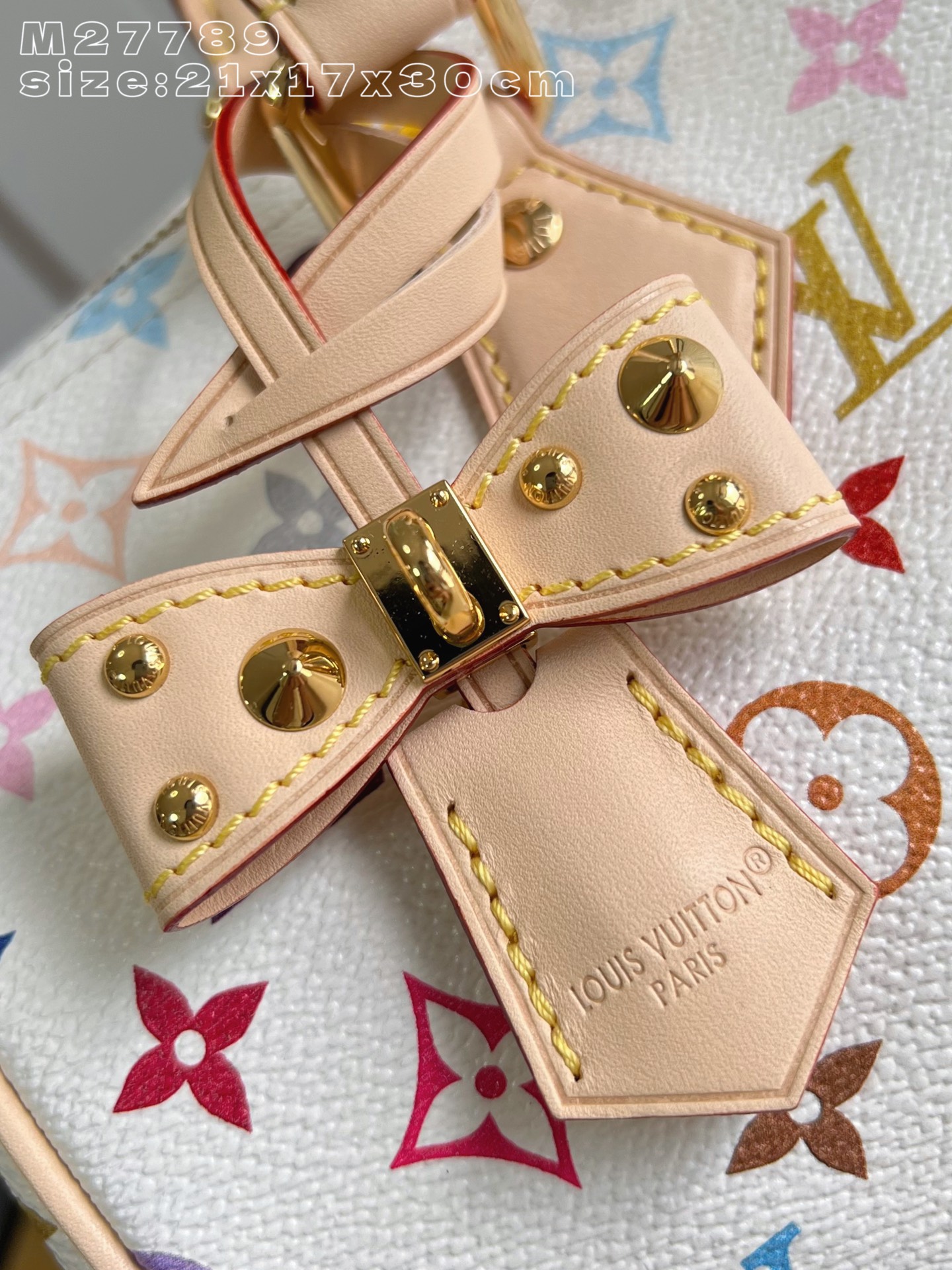 Louis Vuitton Basic Bag Cow Leather M-s