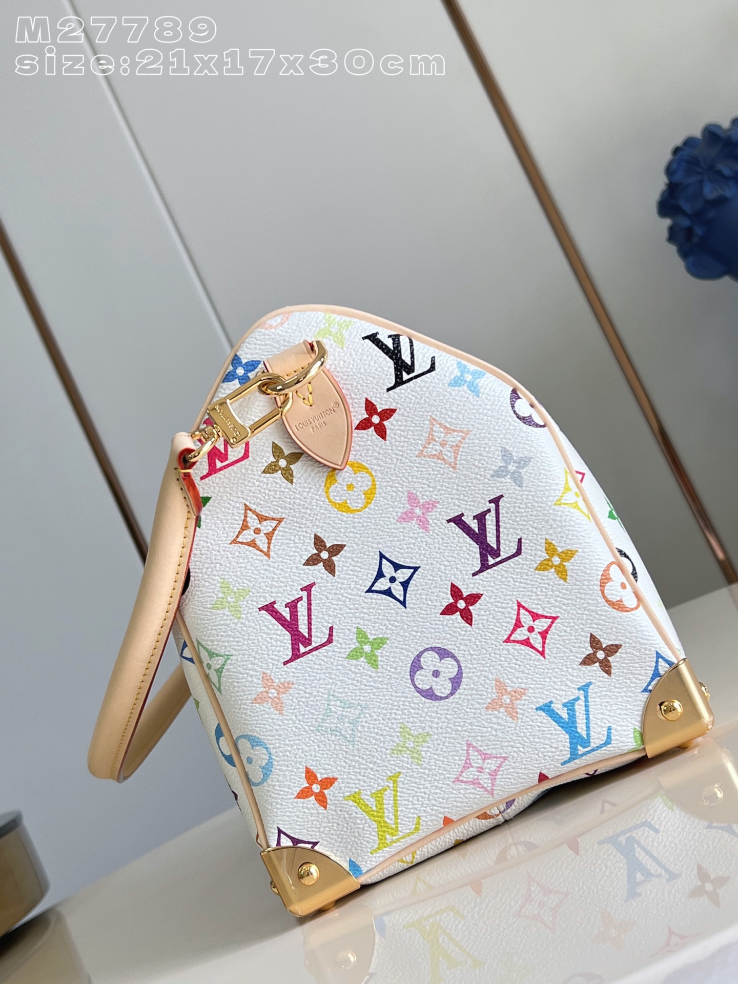 Louis Vuitton Basic Bag Cow Leather M-s