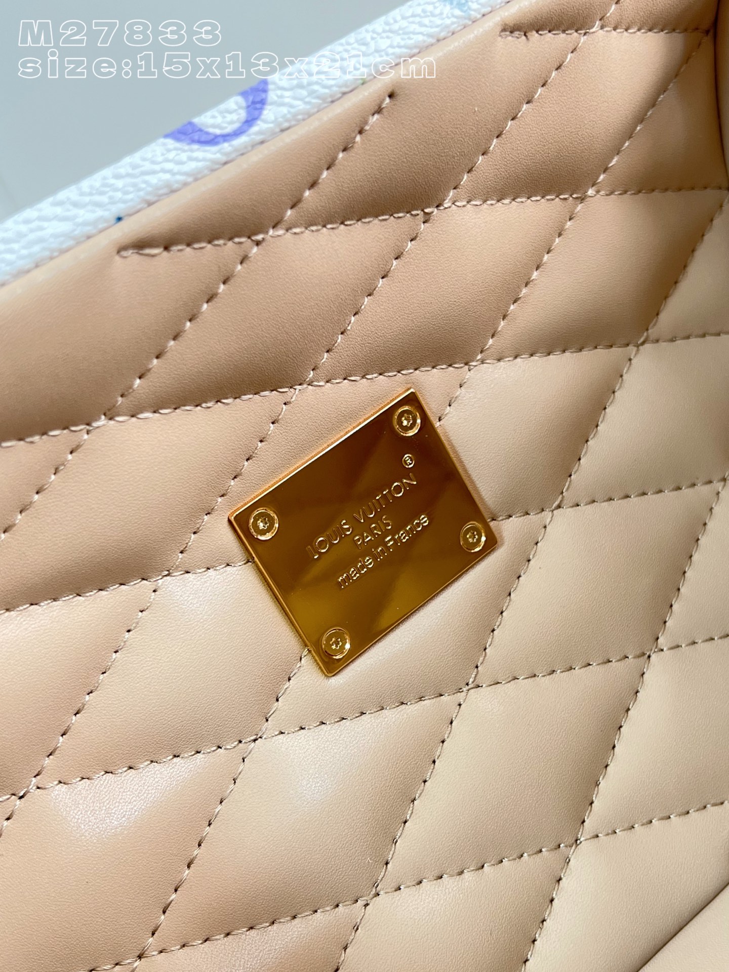 Louis Vuitton Basic Bag Cow Leather M-l-s