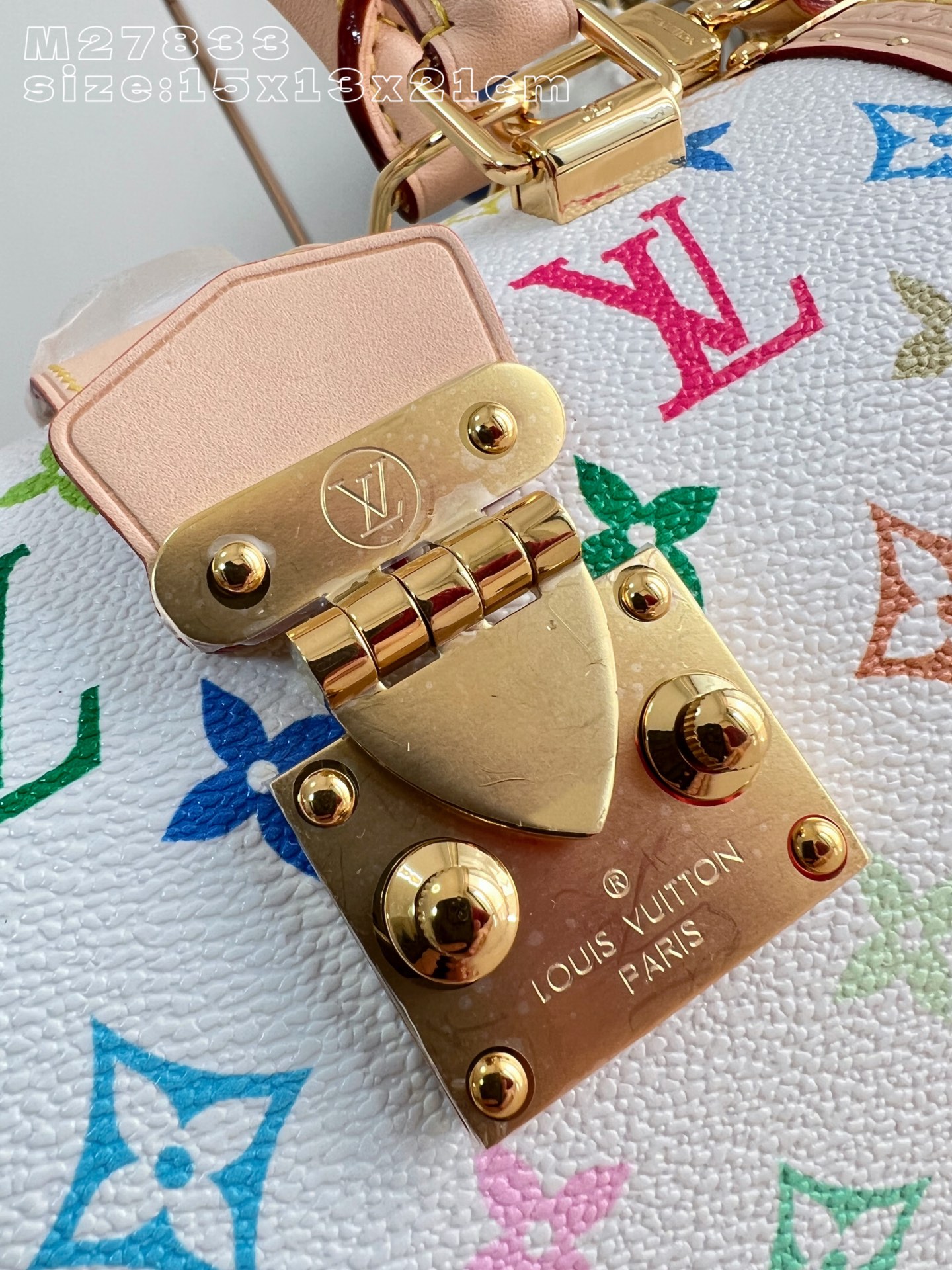 Louis Vuitton Basic Bag Cow Leather M-l-s