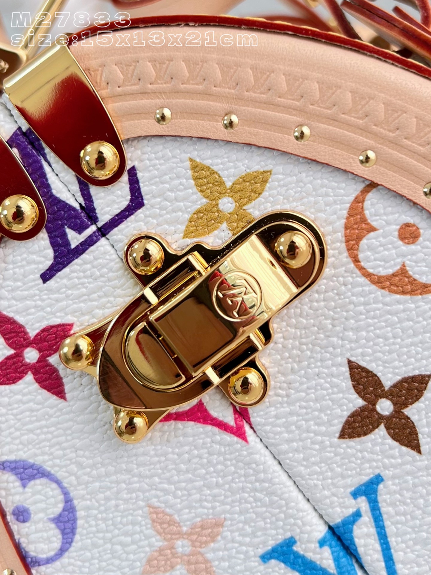 Louis Vuitton Basic Bag Cow Leather M-l-s