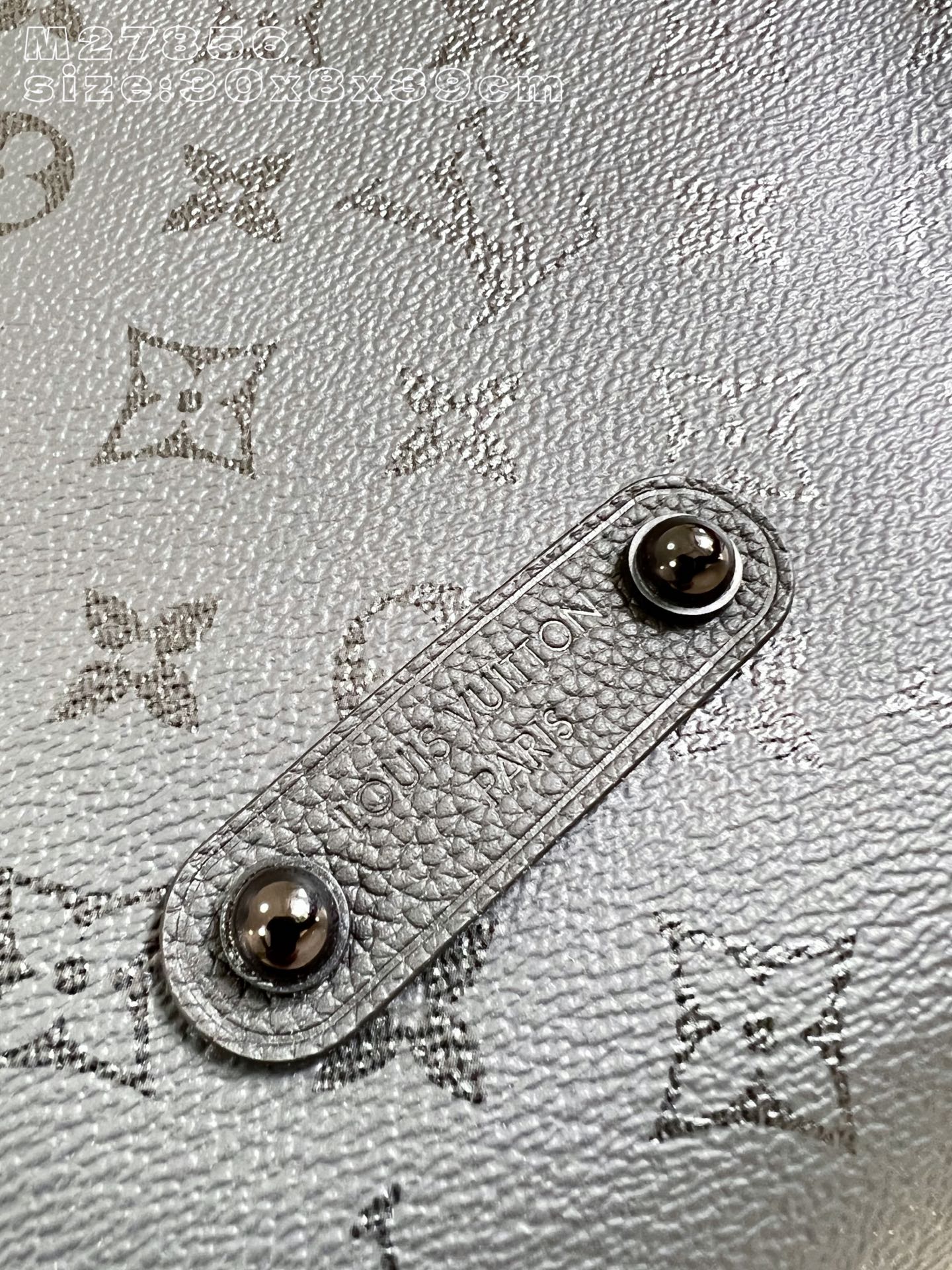 Louis Vuitton Basic Bag Cow Leather M