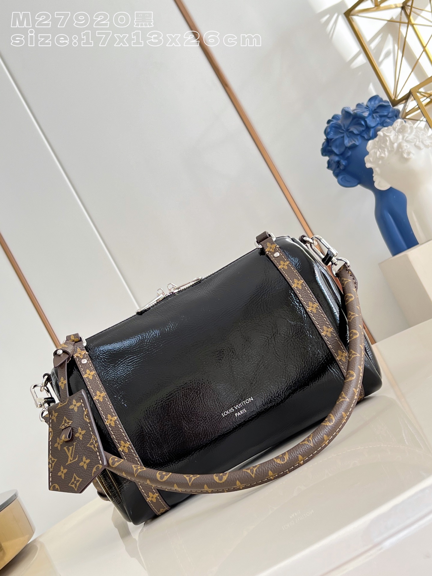 Louis Vuitton Basic Bag Cow Leather M-s