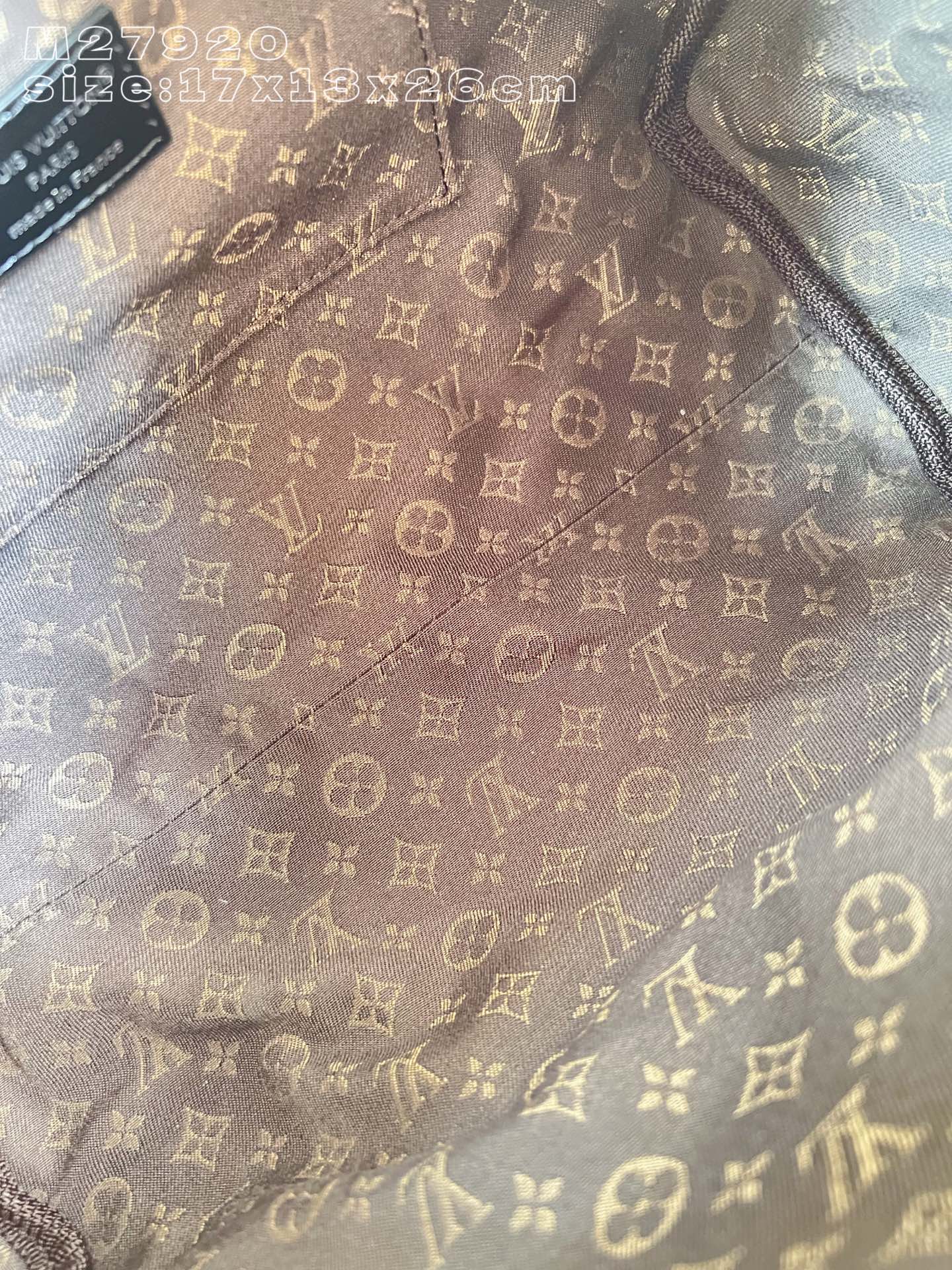 Louis Vuitton Basic Bag Cow Leather M-s