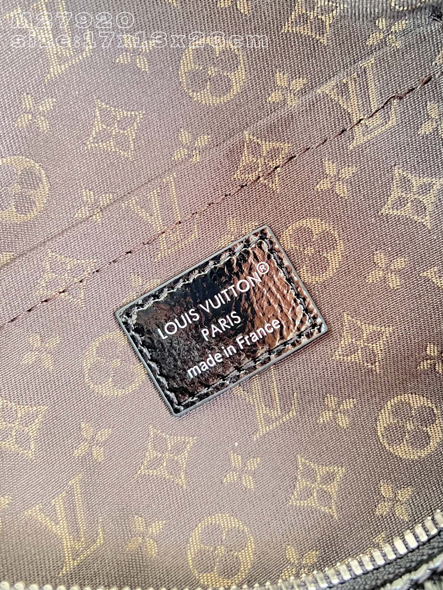 Louis Vuitton Basic Bag Cow Leather M-s