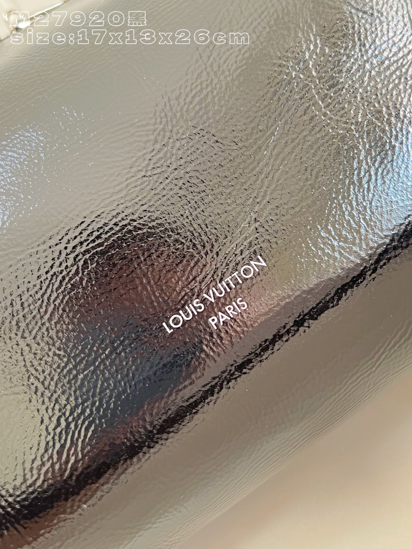 Louis Vuitton Basic Bag Cow Leather M-s